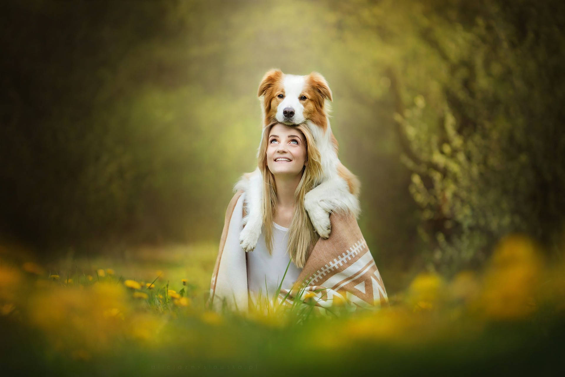 Dog And Girl Sunny Day Background