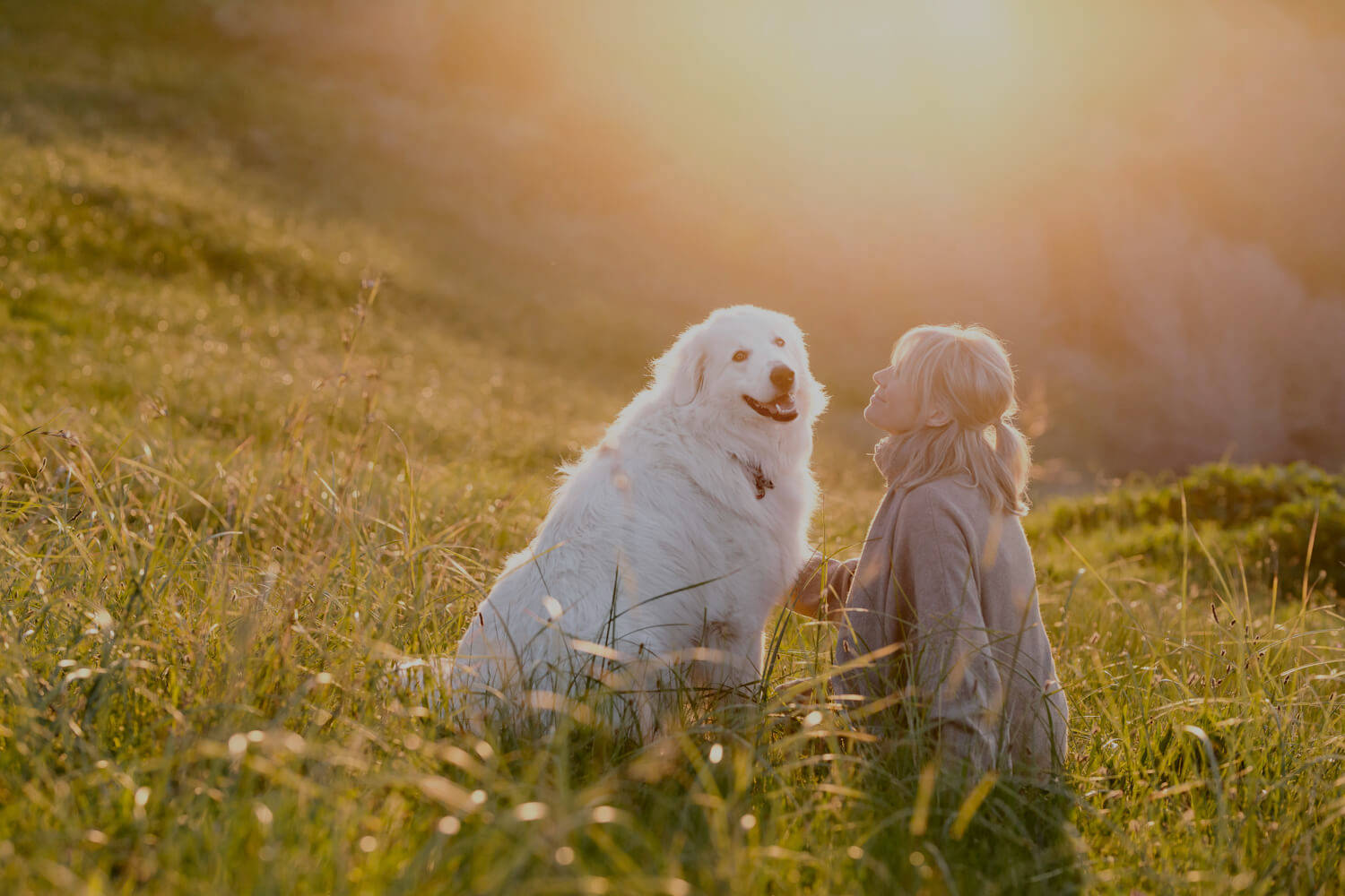 Dog And Girl Sunset View Background