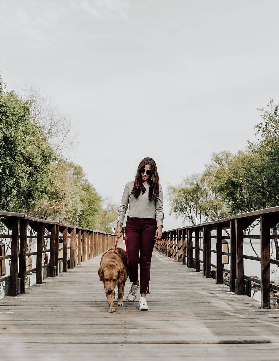 Dog And Girl Walking On A Bridge Background