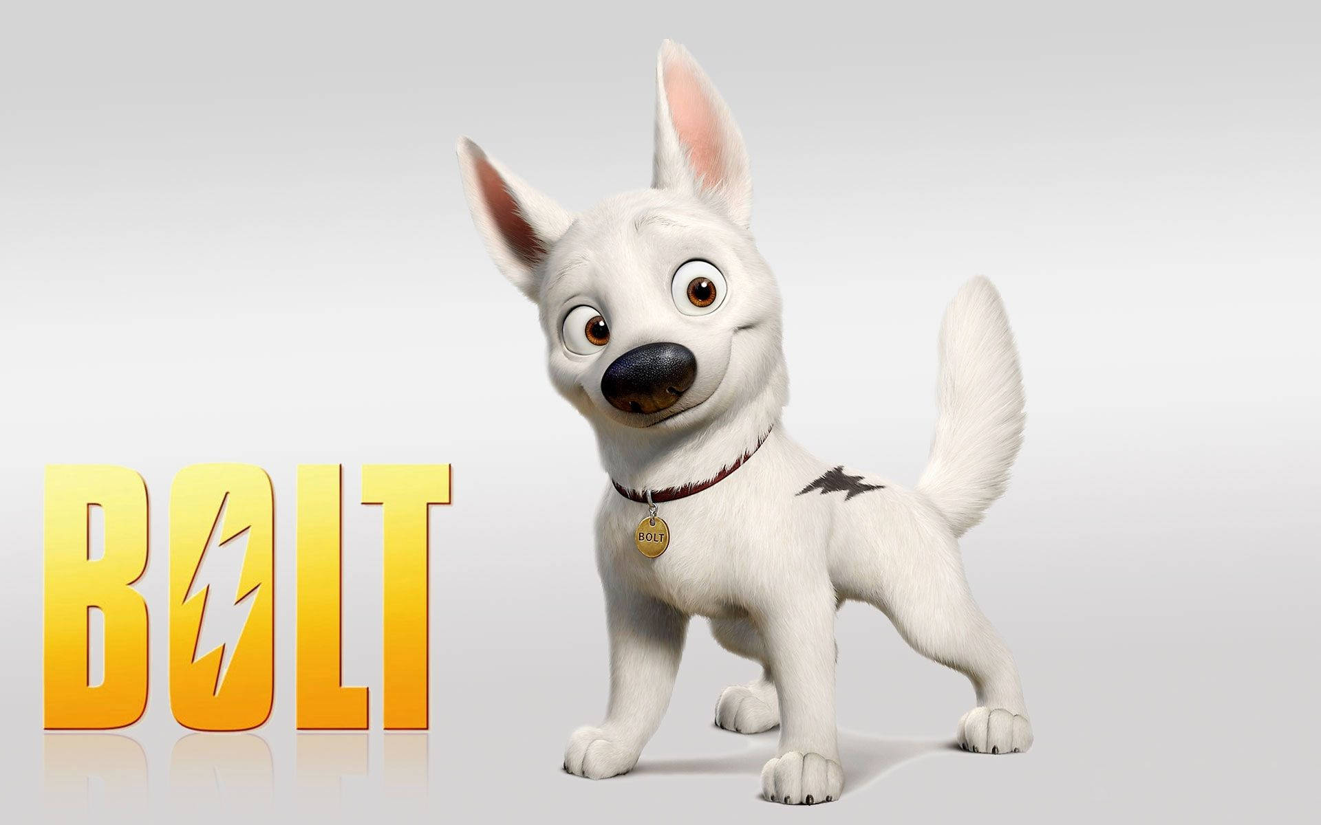 Dog Bolt White Poster