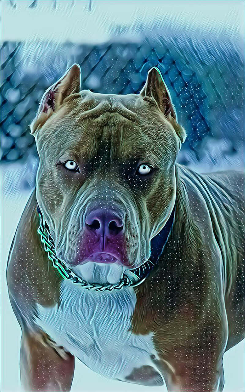 Dog Pitbull Snowy Area Background