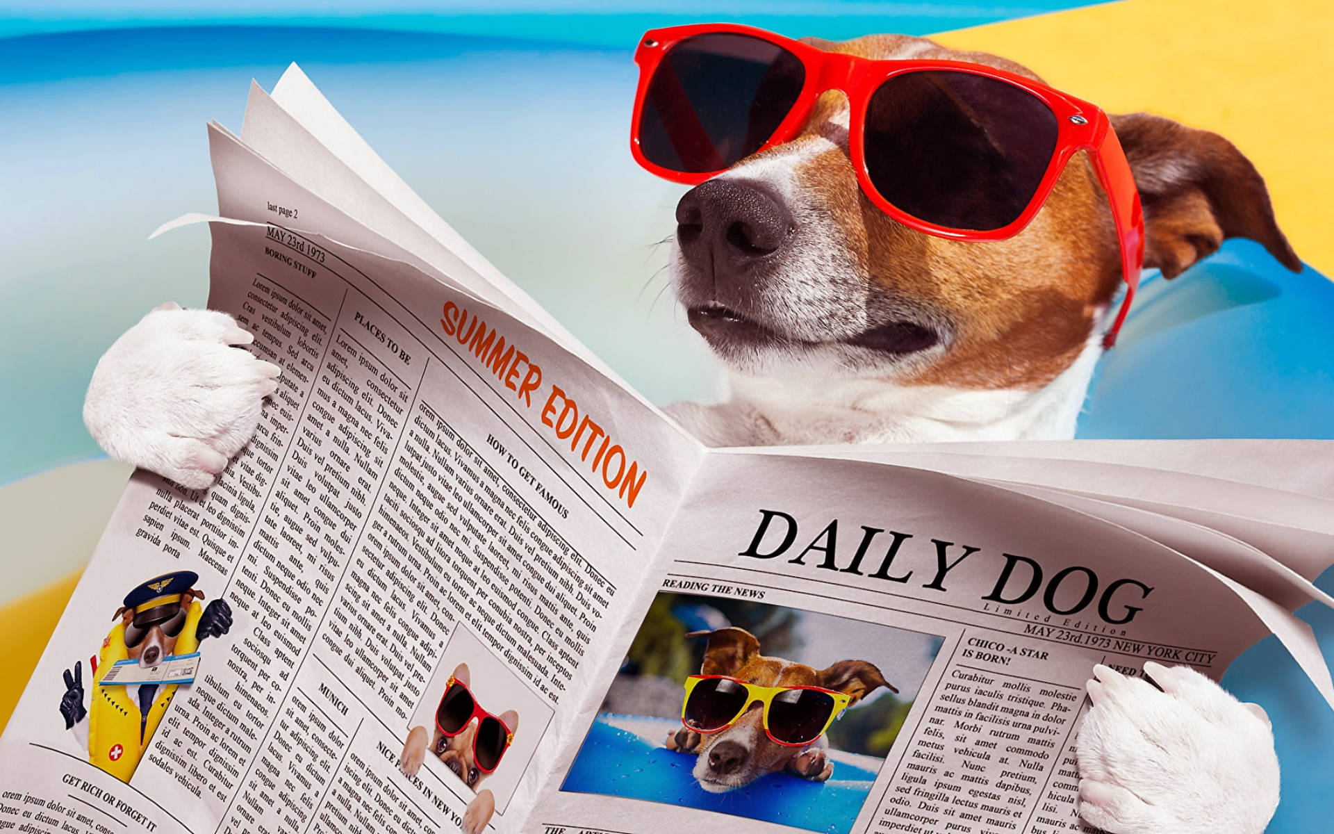 Dog Reading Newspaper