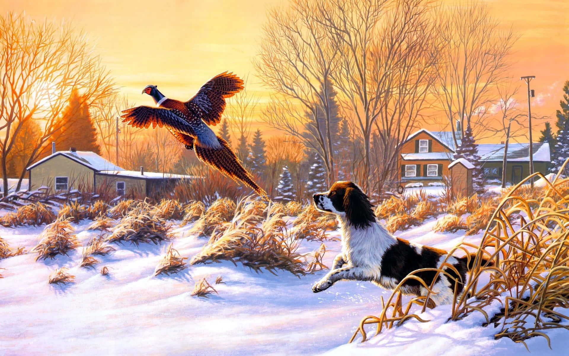 Dog Watching Duck Flying Duck Hunting Desktop Background