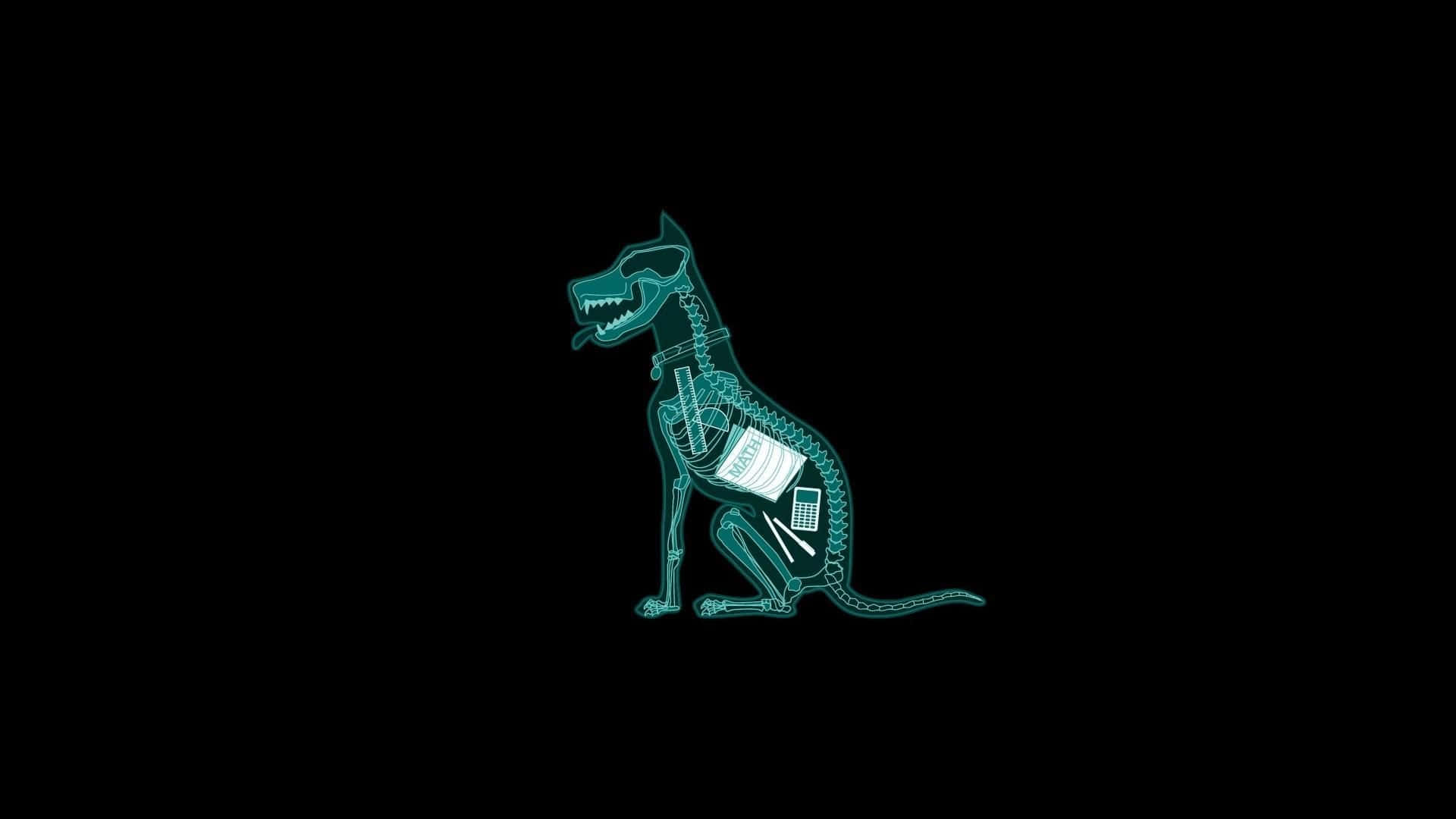 Dog X-ray Funny Simple Desktop Background