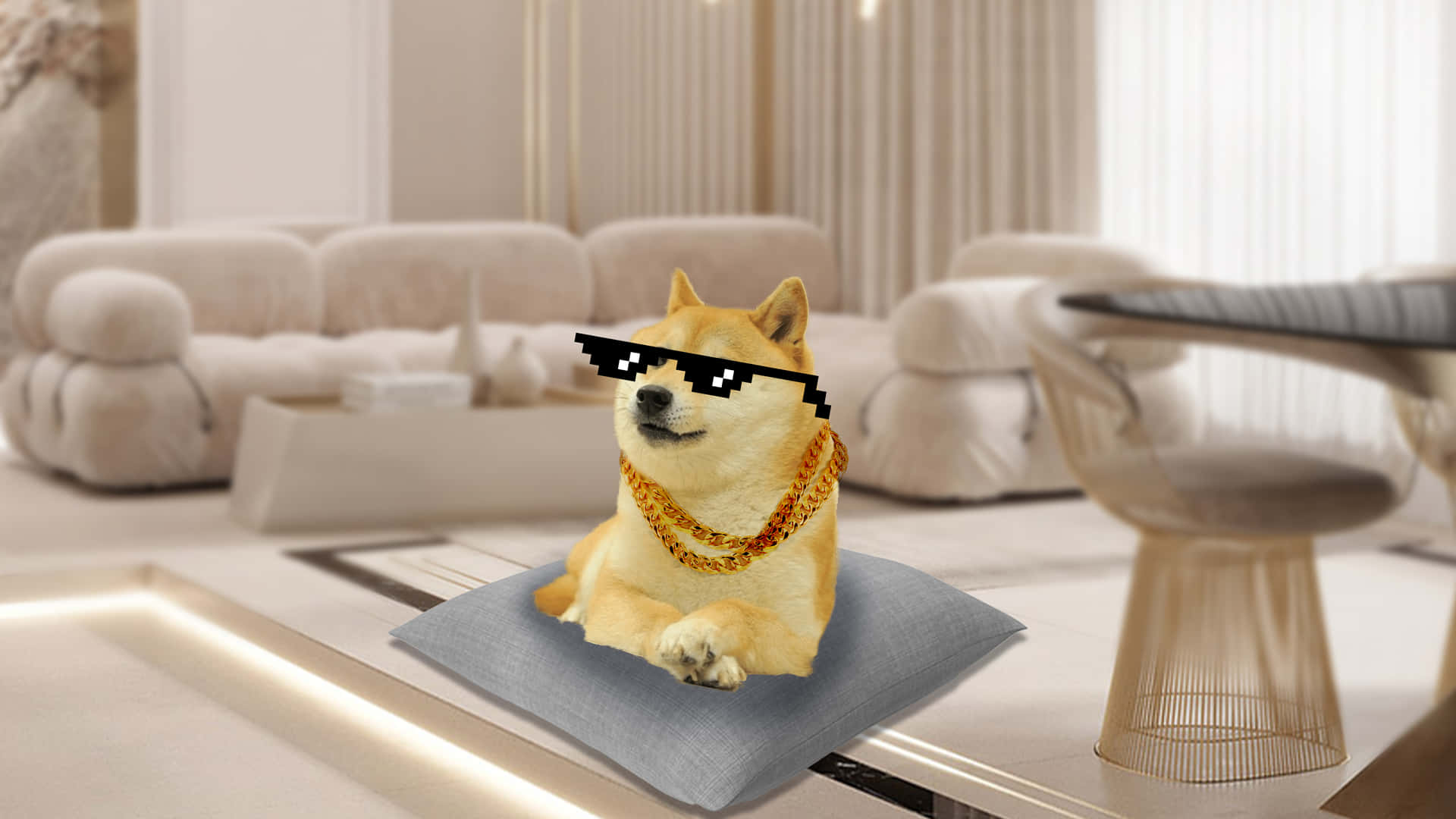 Doge In Living Room Background
