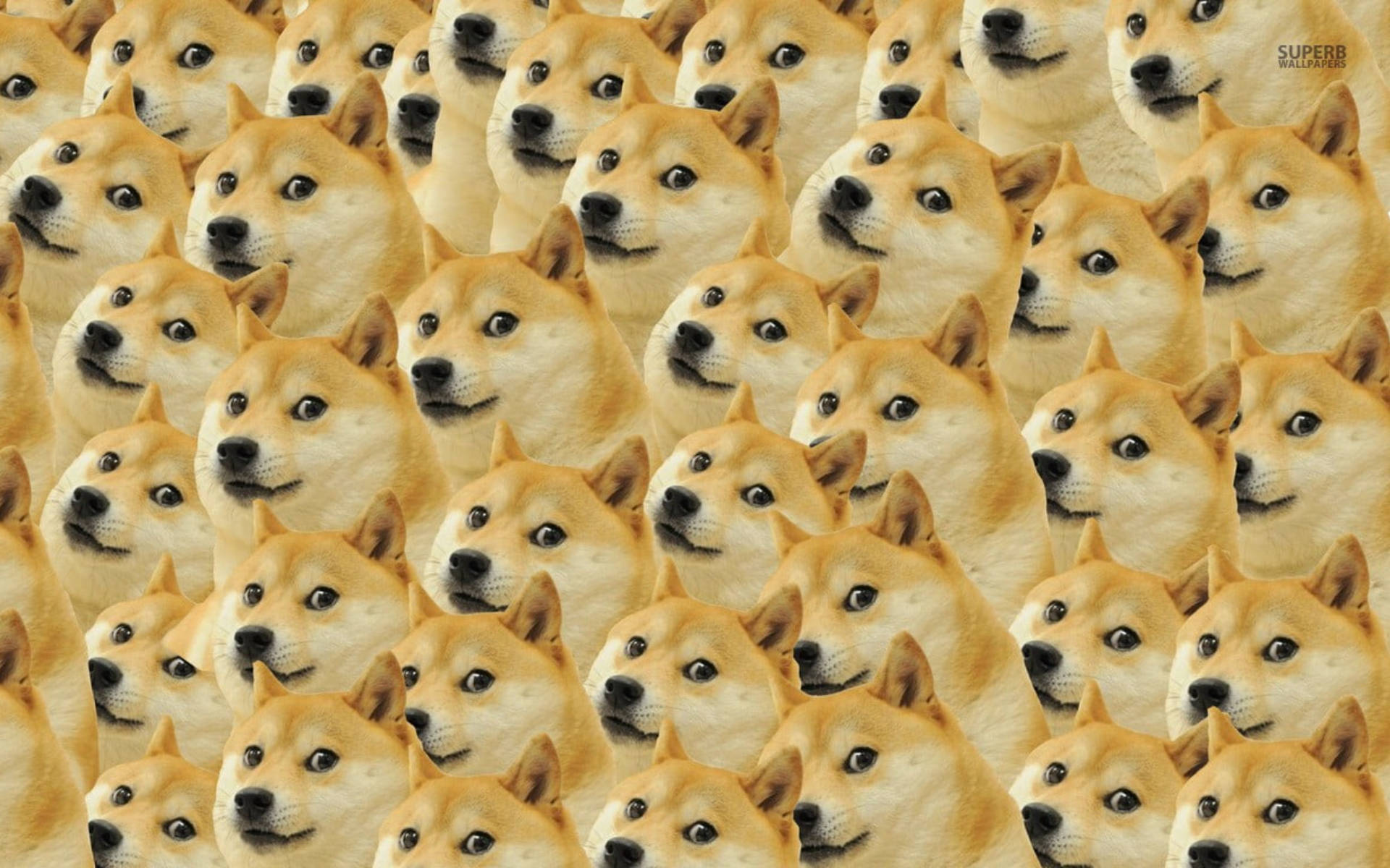 Doge Meme Faces Pattern Background