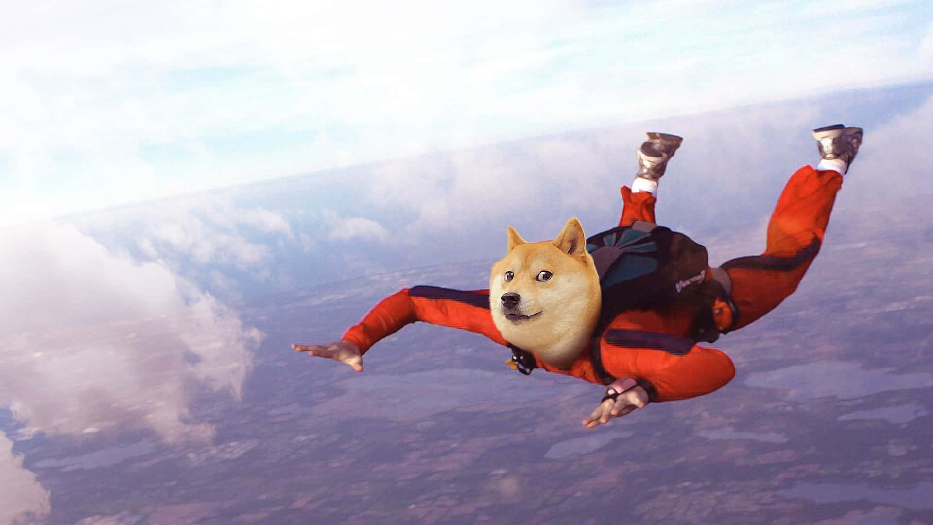 Doge Skydiver