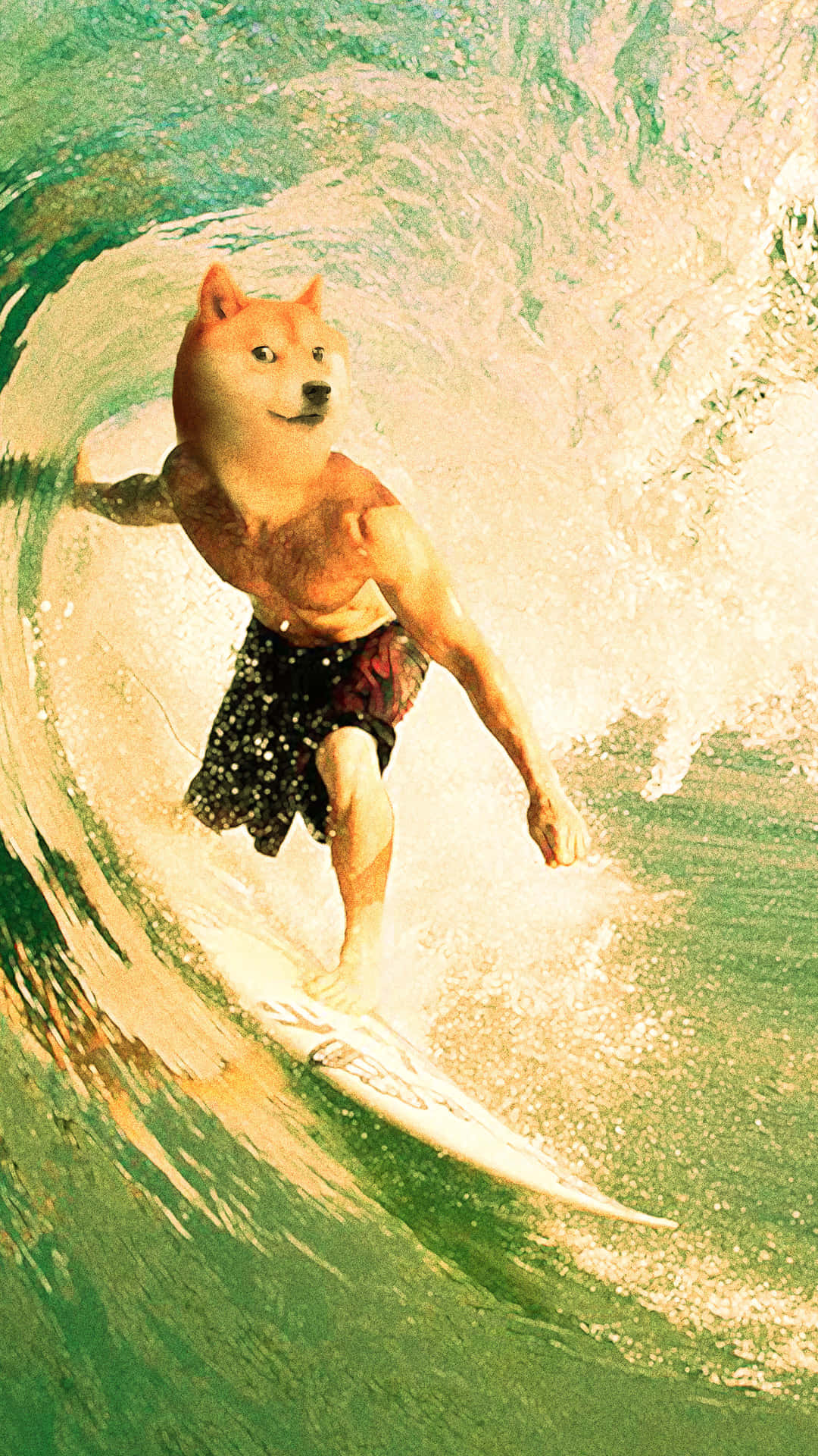 Doge Surfer