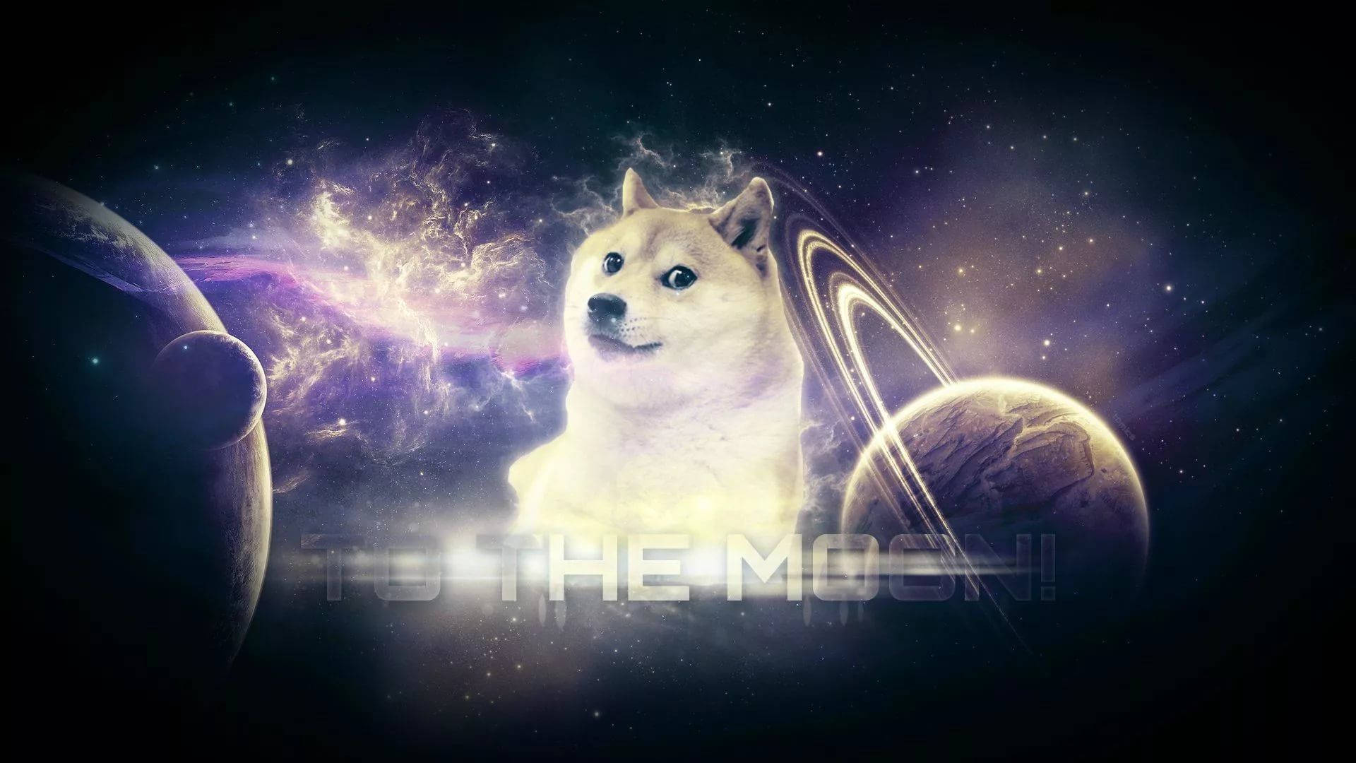 Doge To The Moon! Background