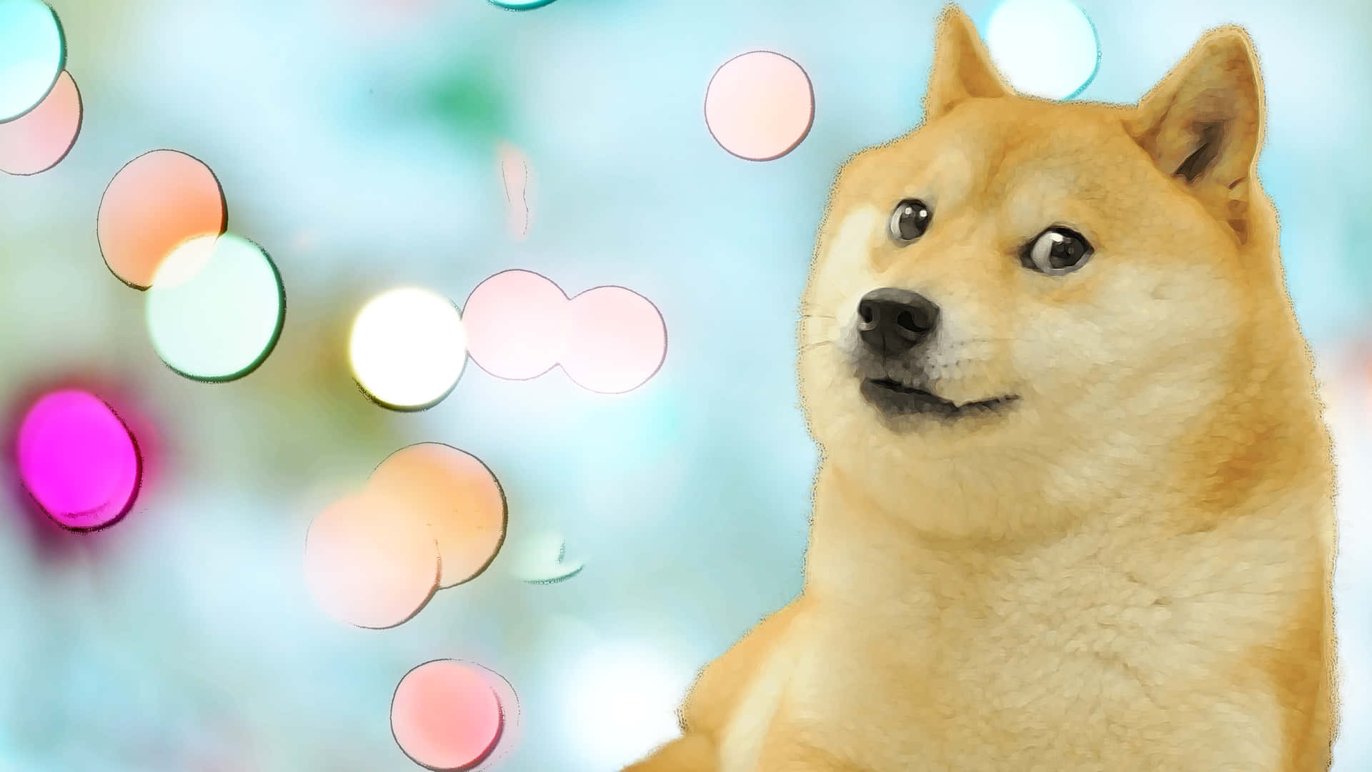 Doge With Bokeh
