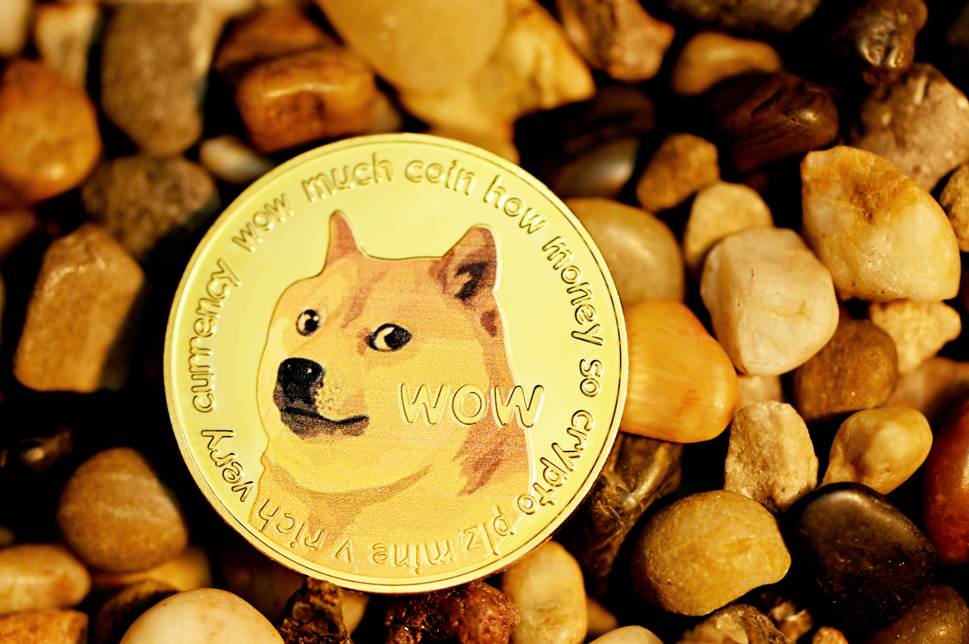 Dogecoin In Pebbles Background