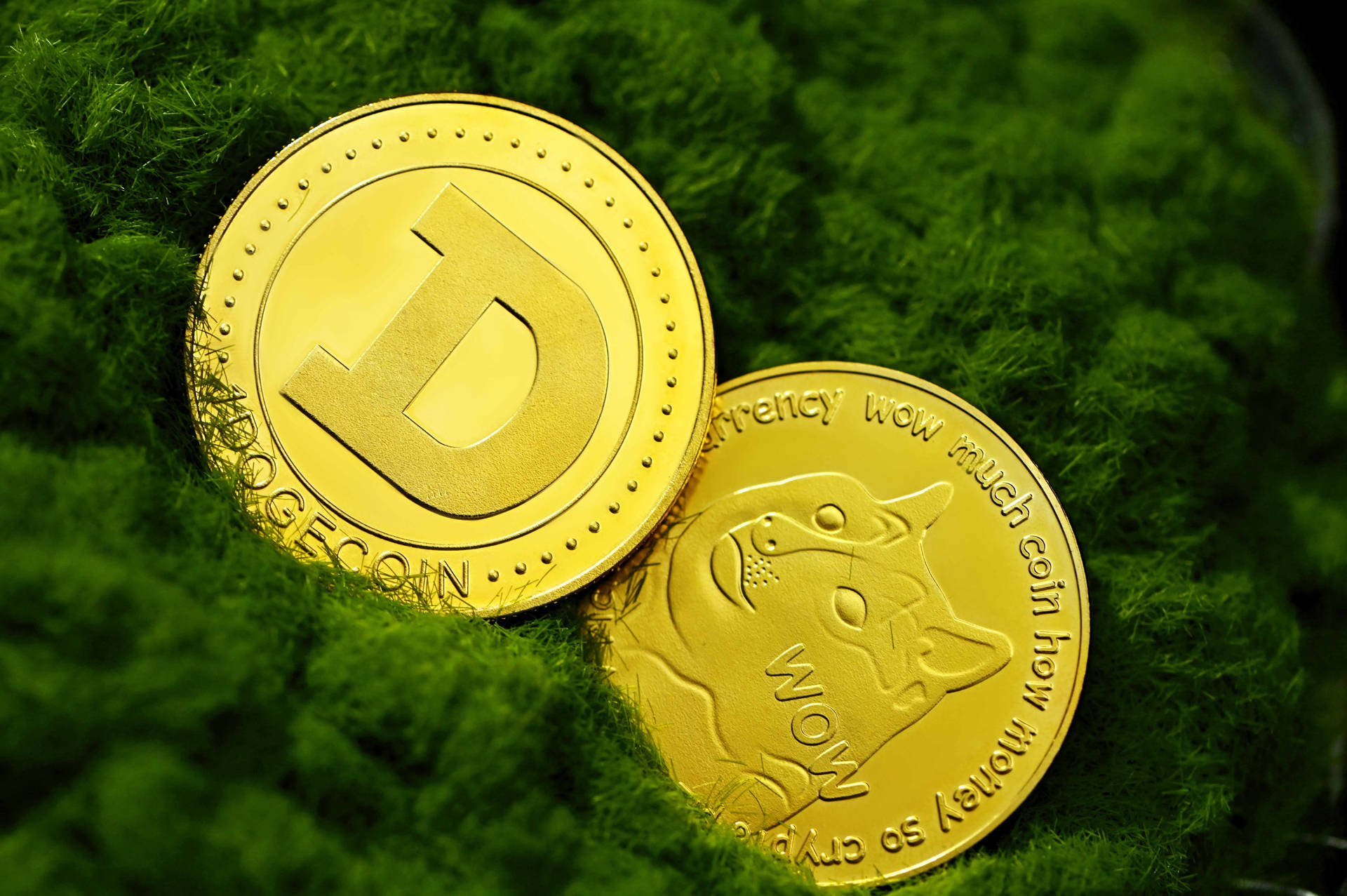 Dogecoin On Moss Background