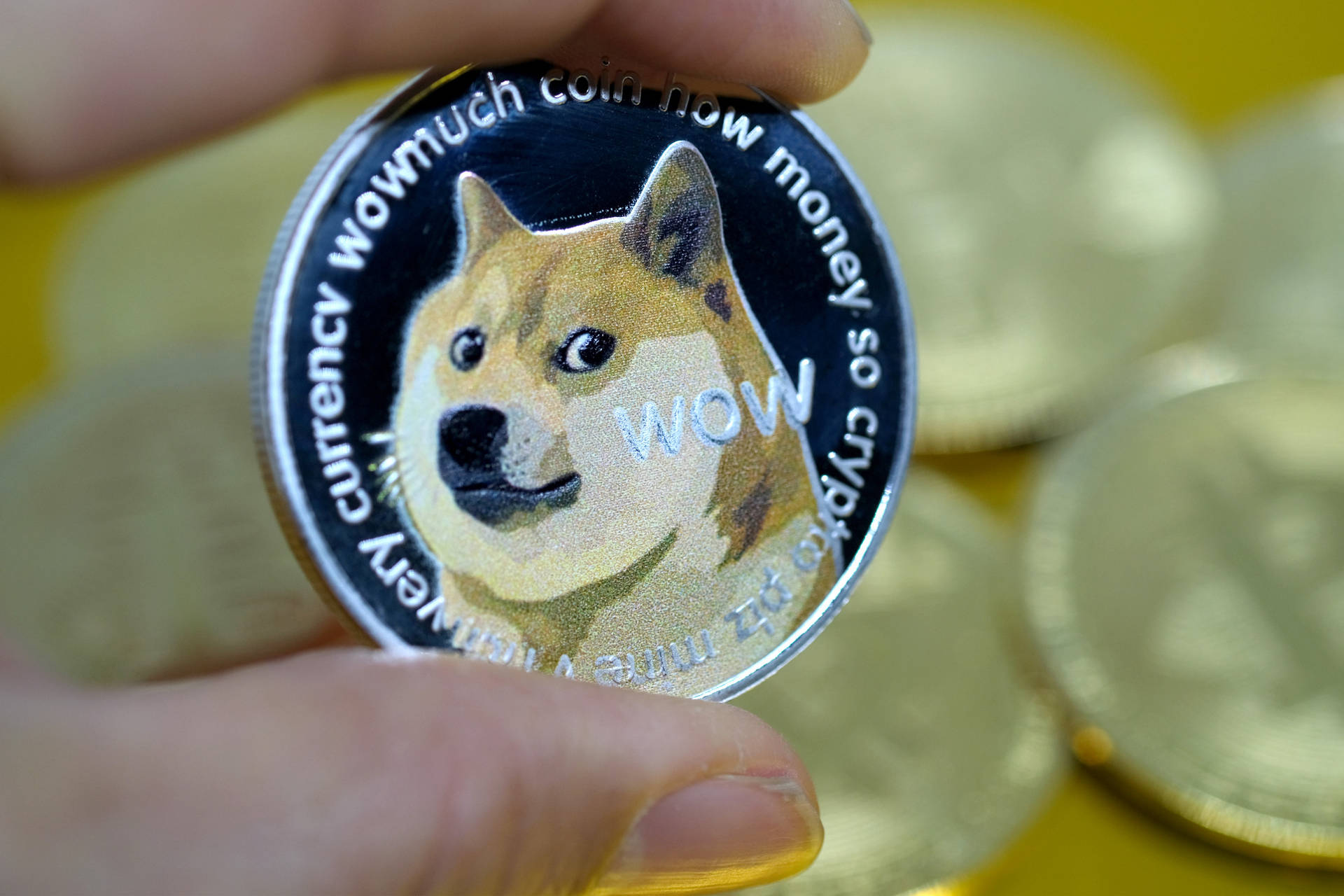 Dogecoin Shiba Inu Meme Background