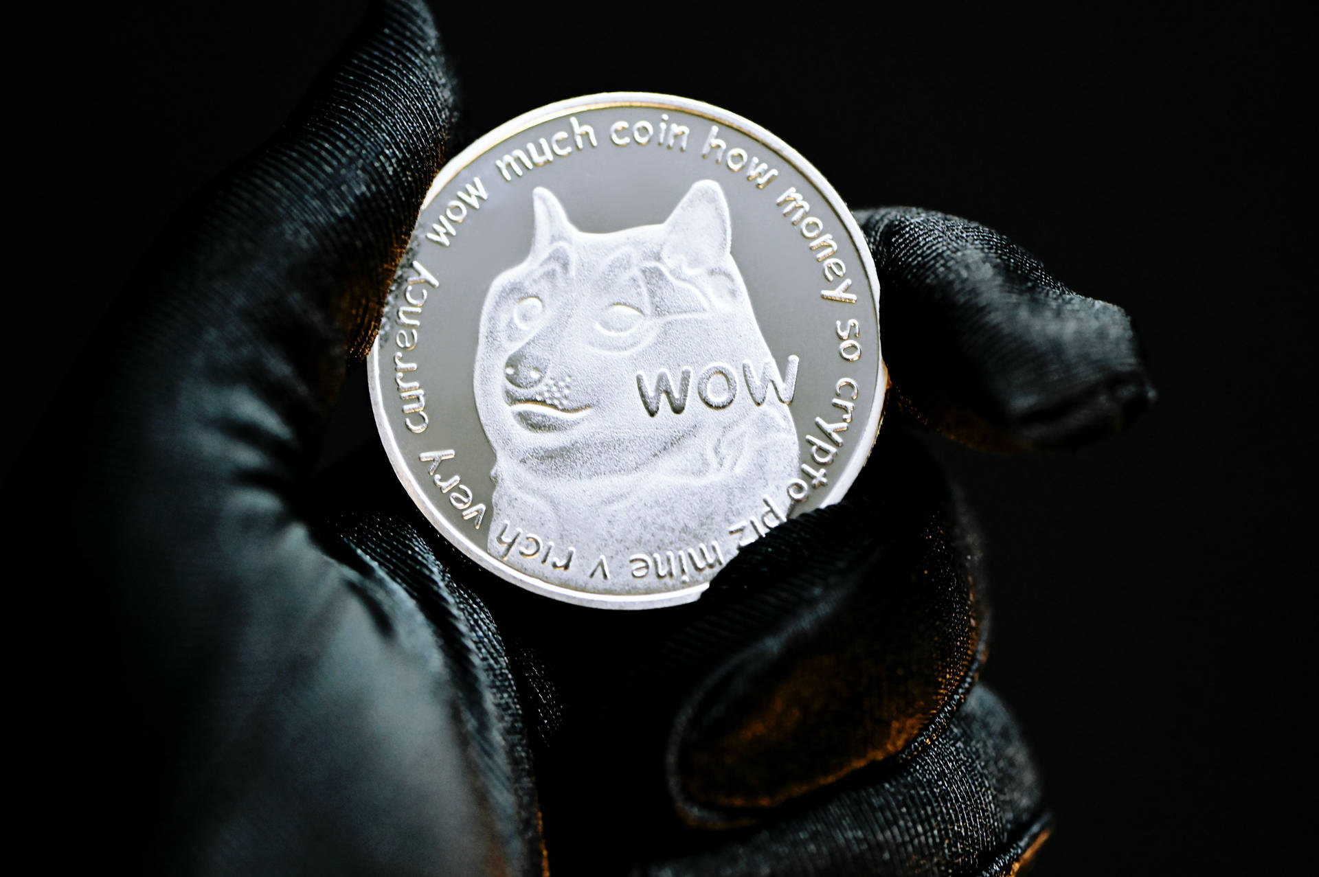 Dogecoin Silver Token