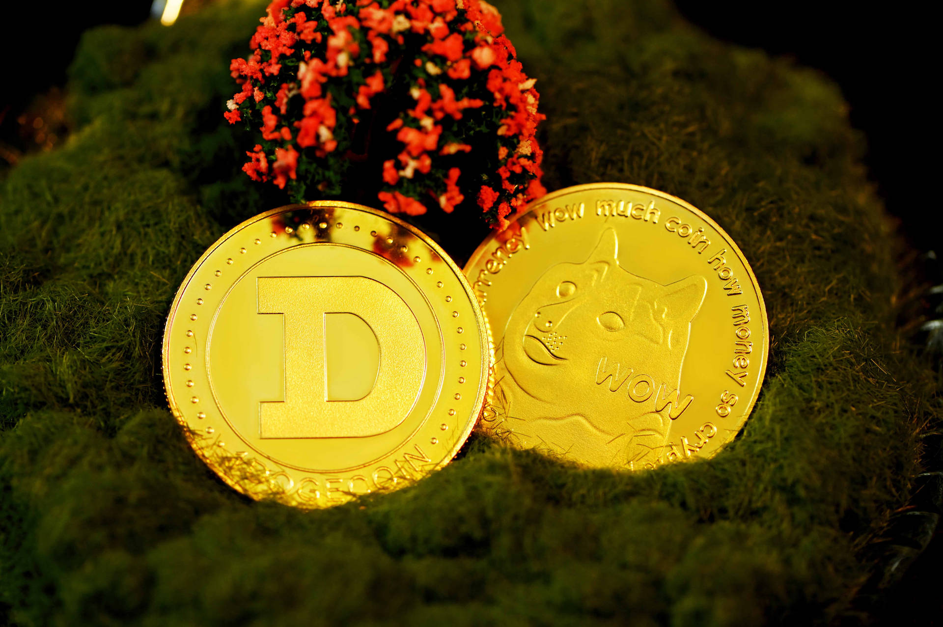 Dogecoin With Flowers Background