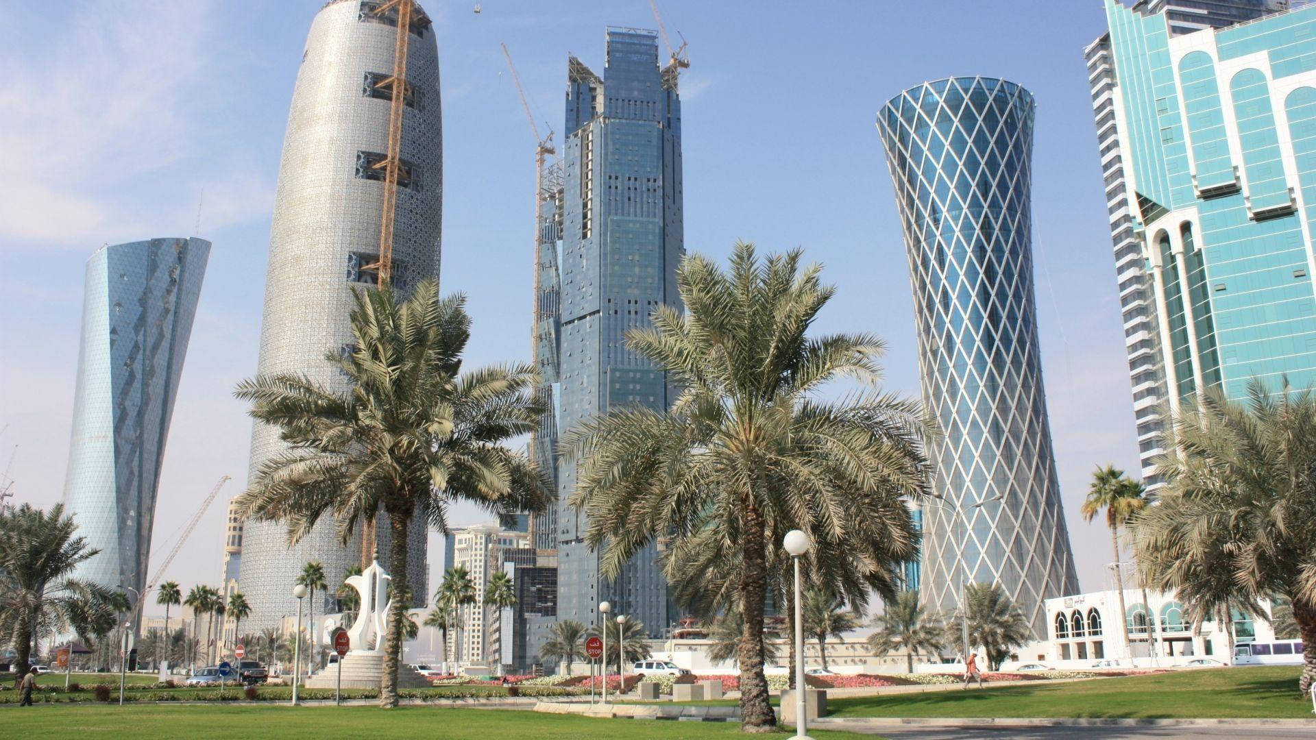 Doha City Palm Tree Buildings Background