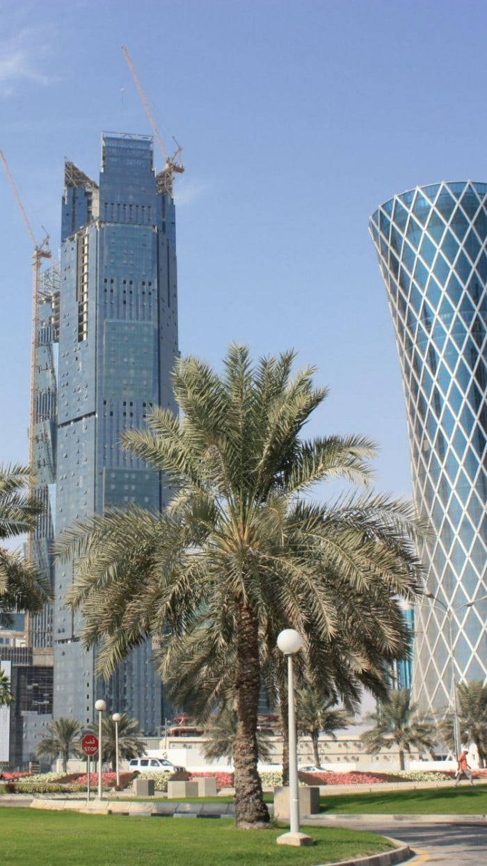 Doha Palm Tree Cityscape Background