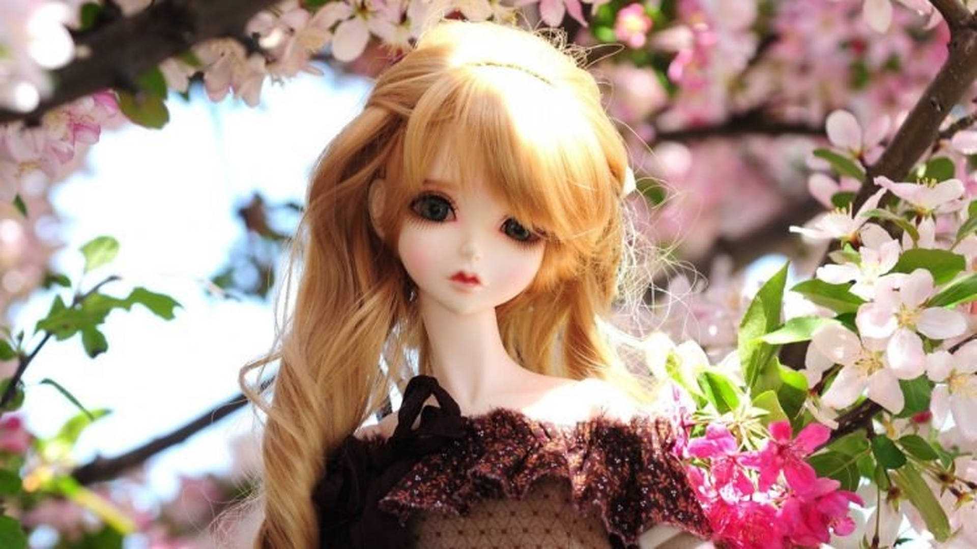 Doll And Cherry Blossoms Background