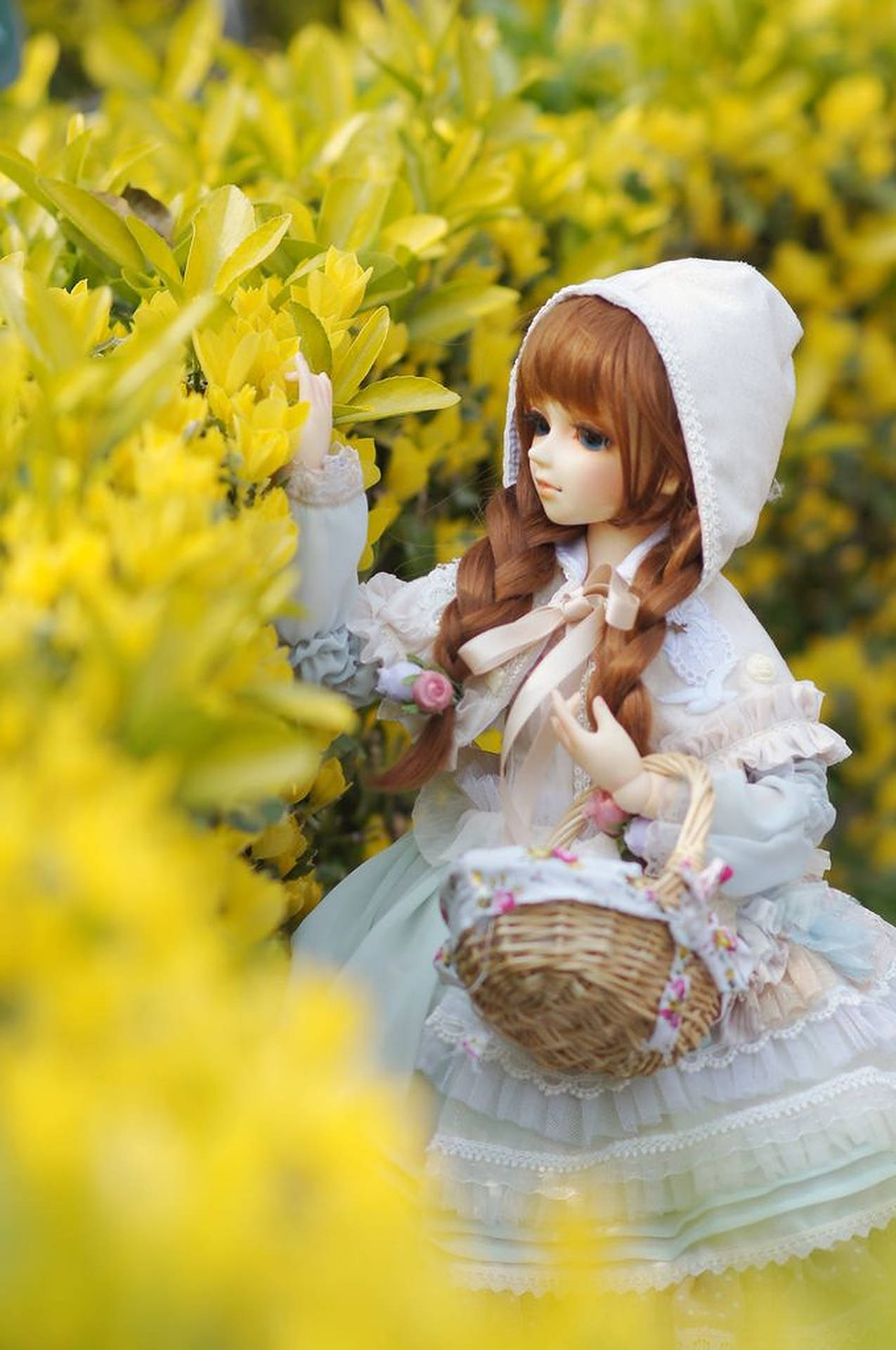 Doll Harvesting In Garden Background