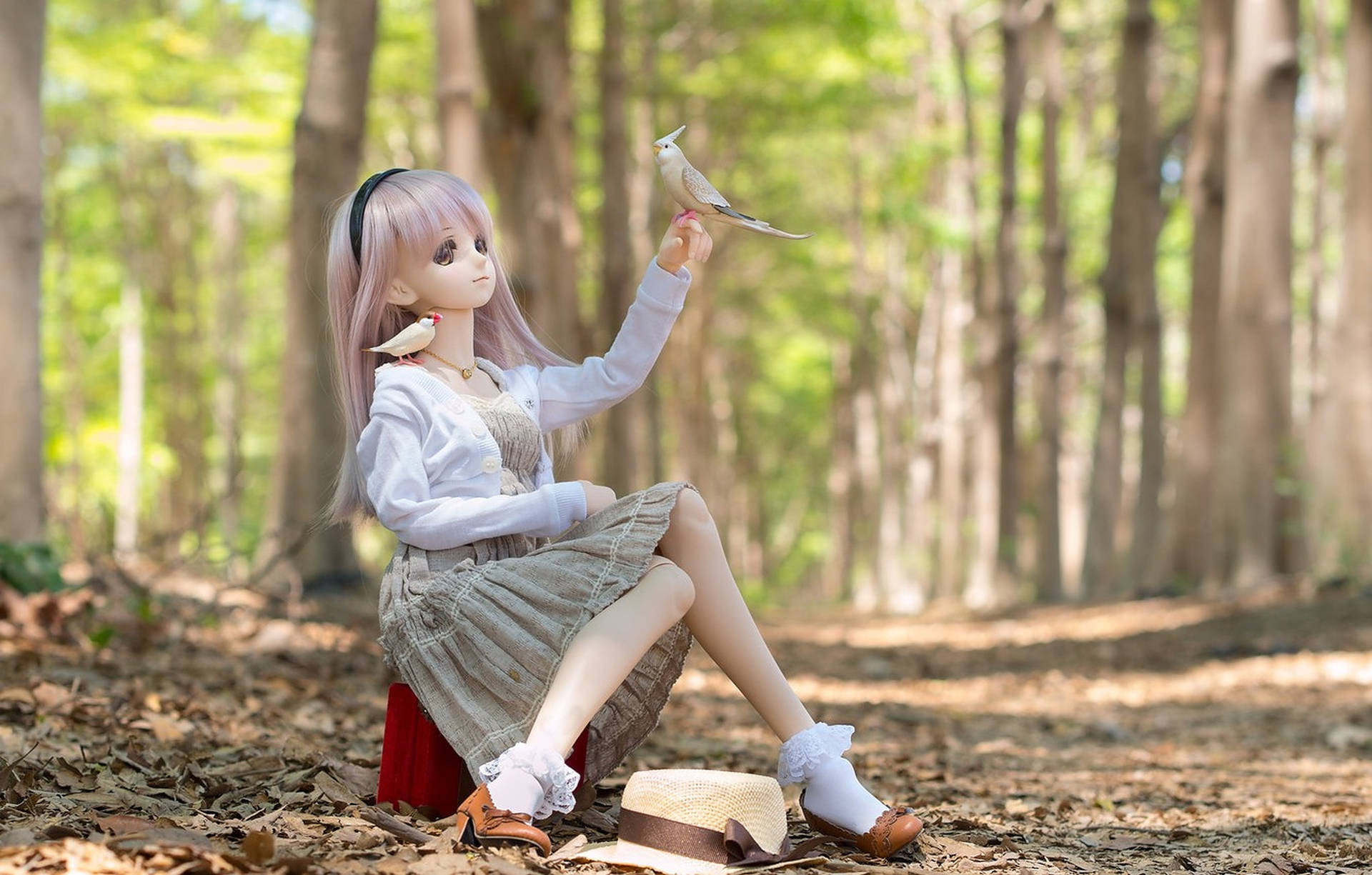 Doll With Bird In Forest Background