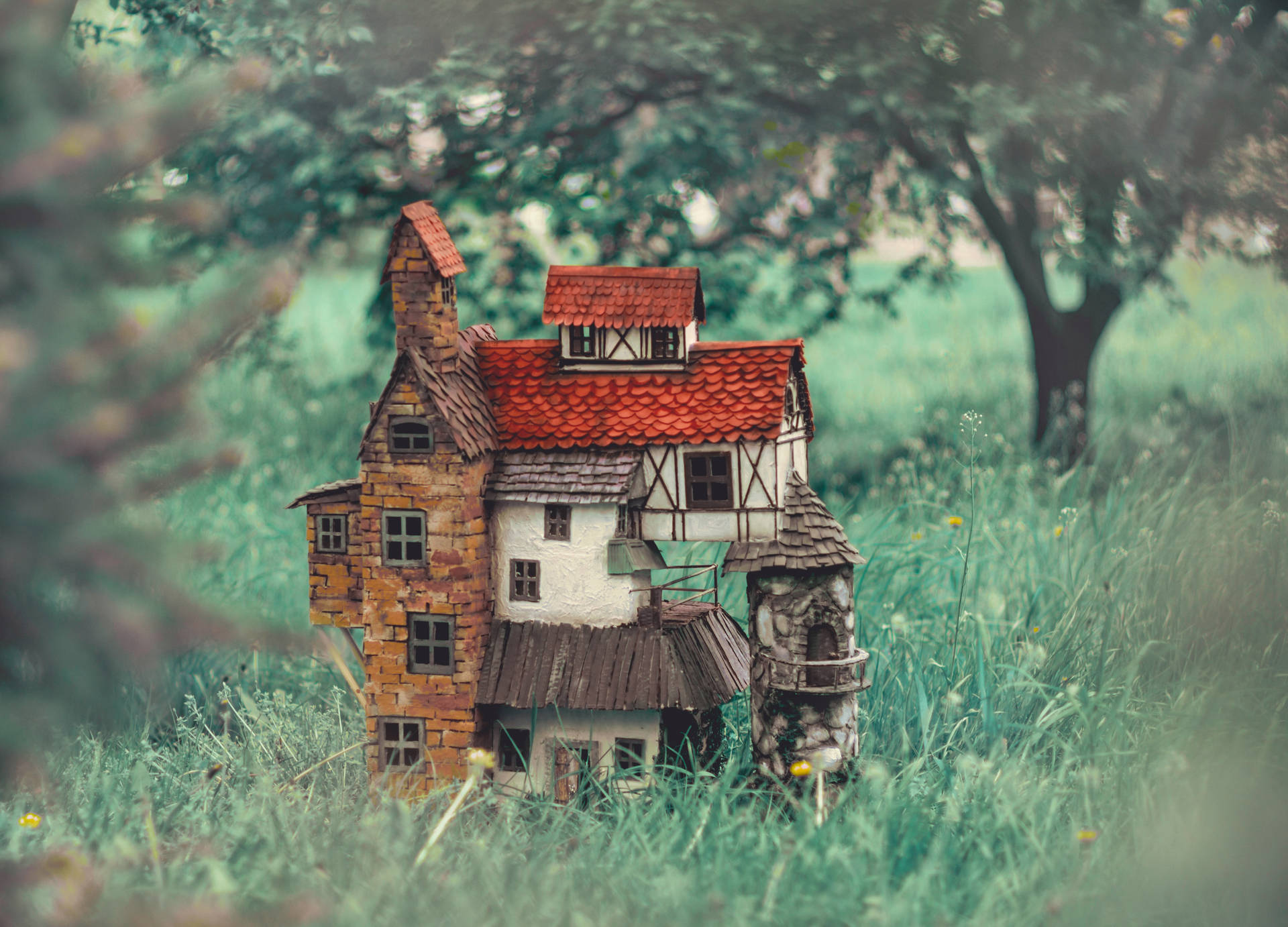 Dollhouse Outside The Forest Background