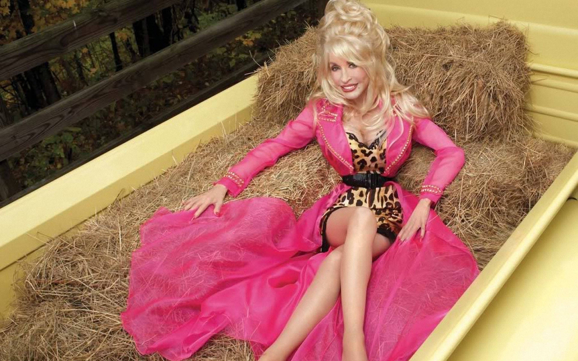 Dolly Parton Leopard Pink Tube Dress