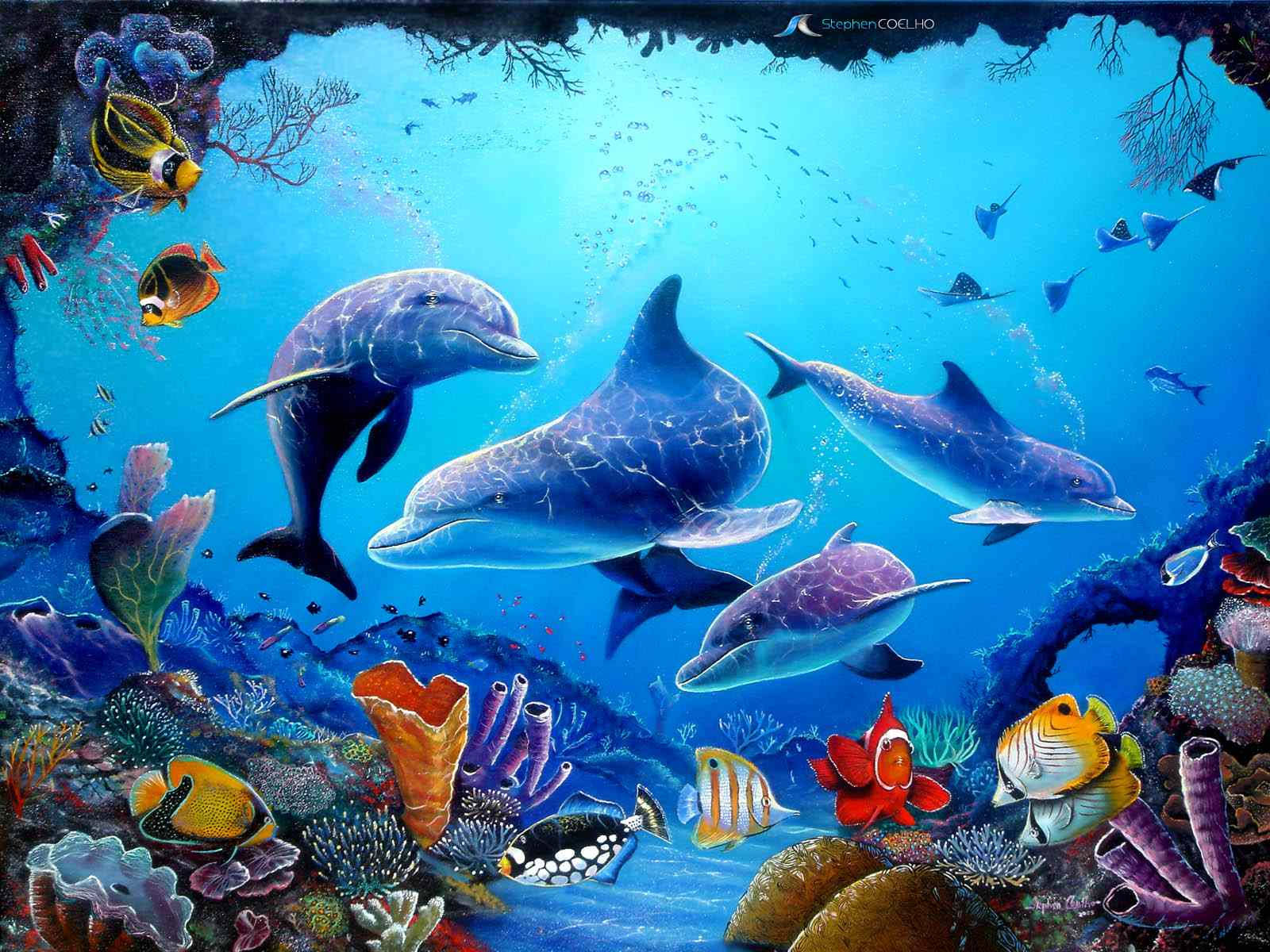 Dolphins And Sea Creatures Background