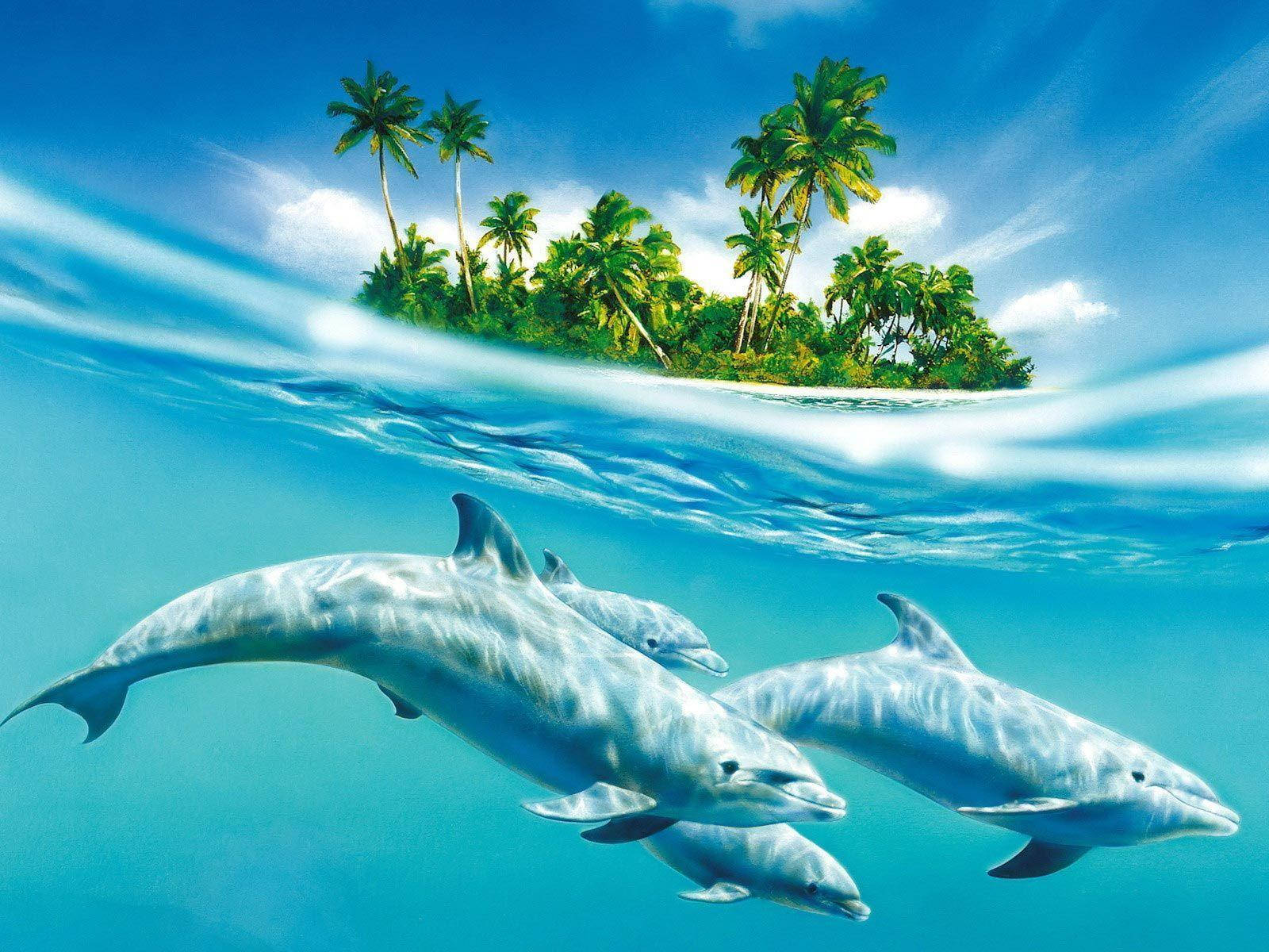 Dolphins Beneath Waters Background