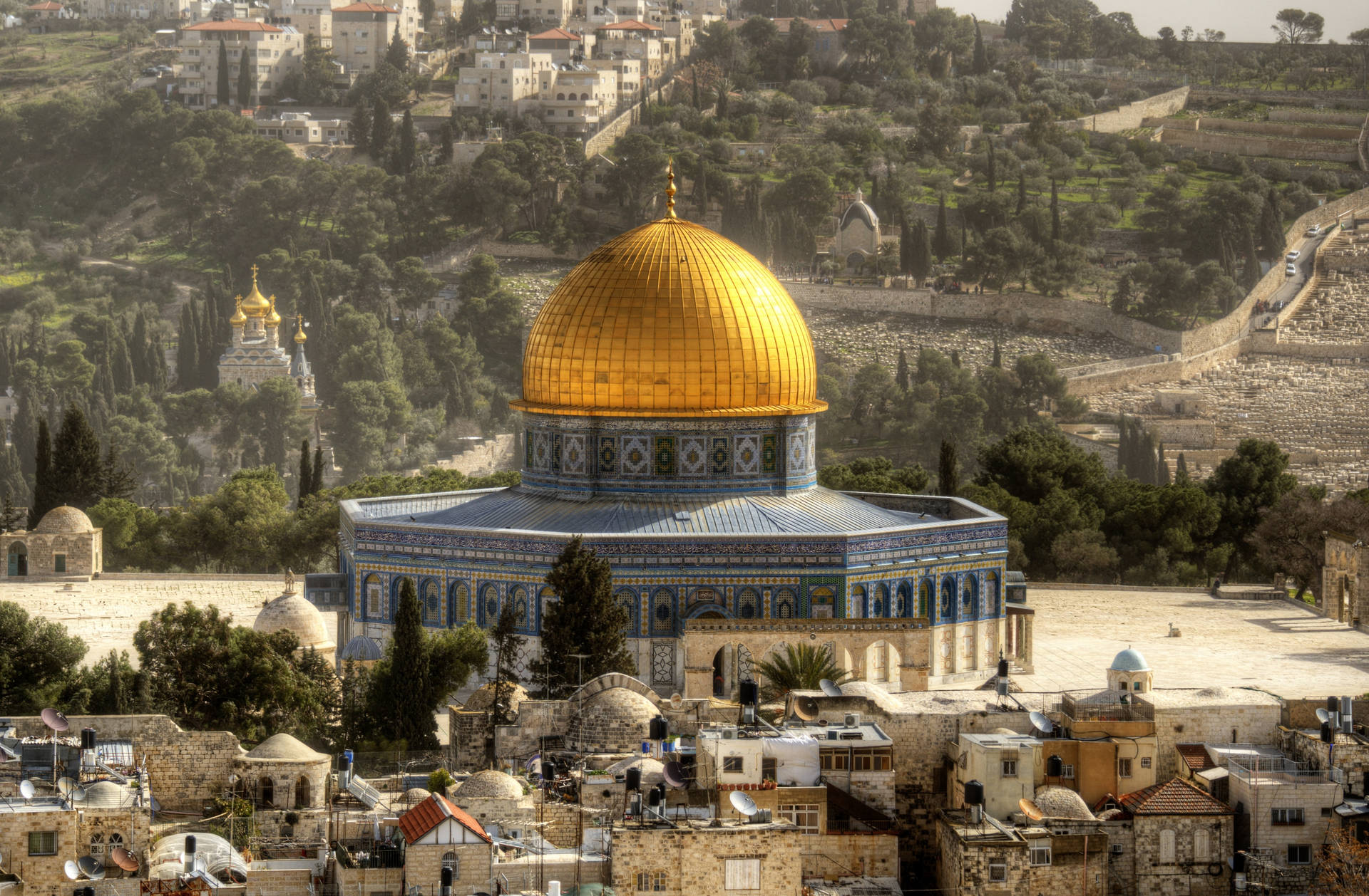 Dome Of The Rock Forest Background