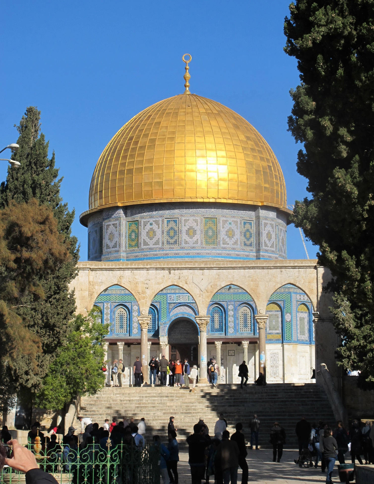 Dome Of The Rock Framed By Foliage Background