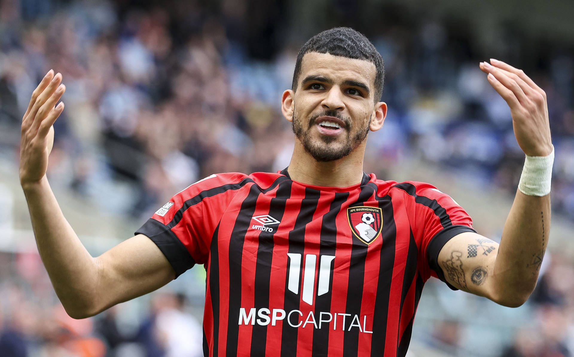 Dominic Solanke For Afc Bournemouth Background