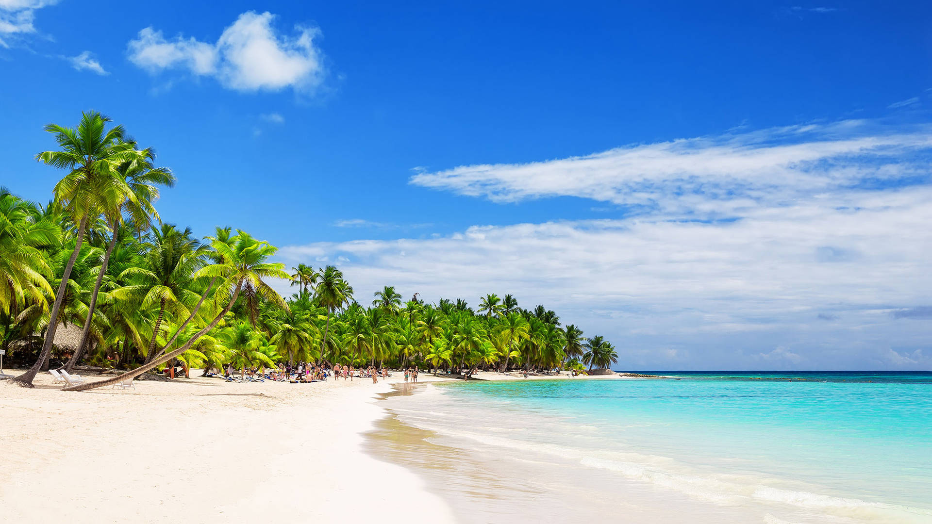 Dominica White Sand Beach Background