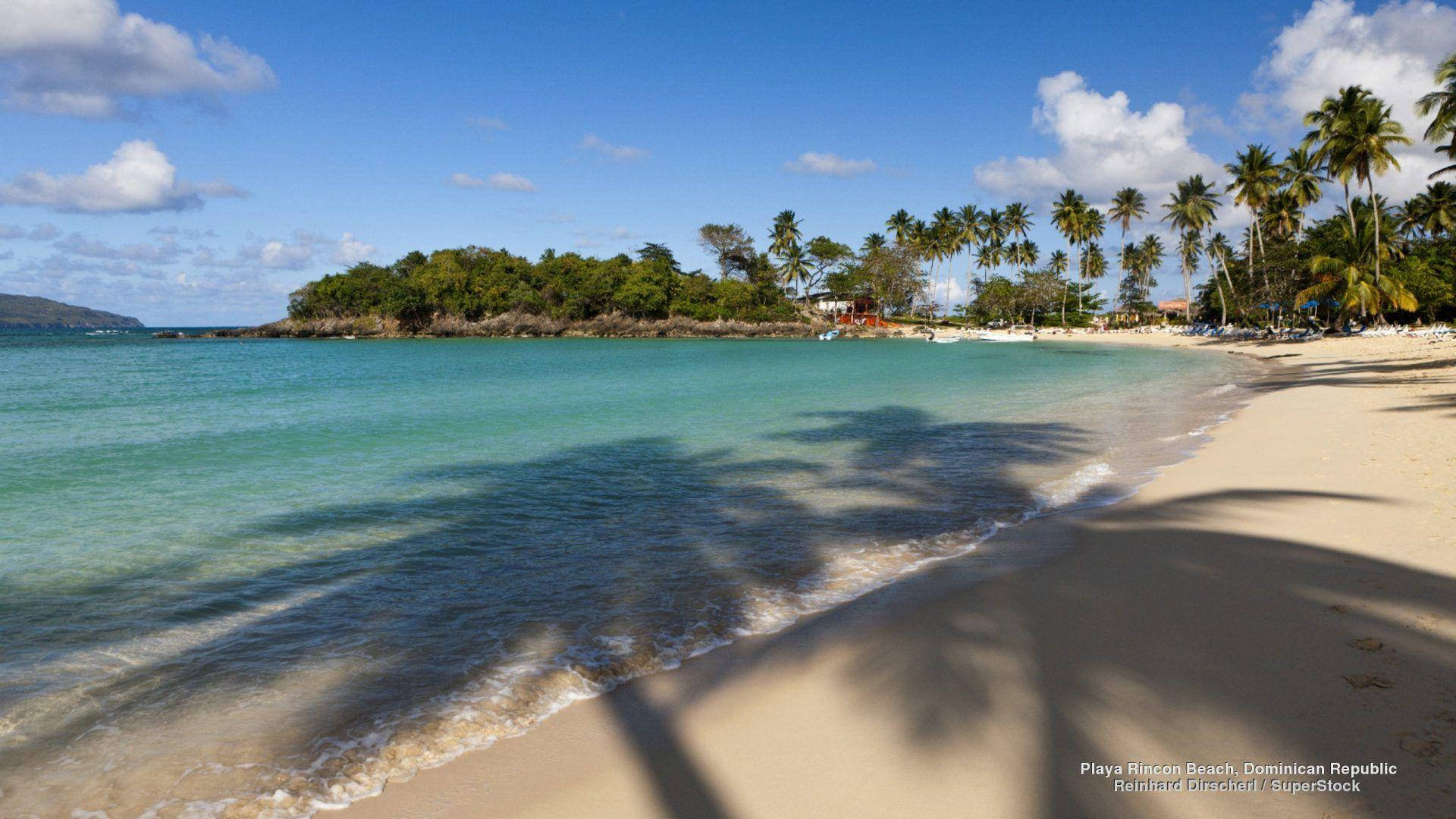 Dominican Republic Palm Shadow