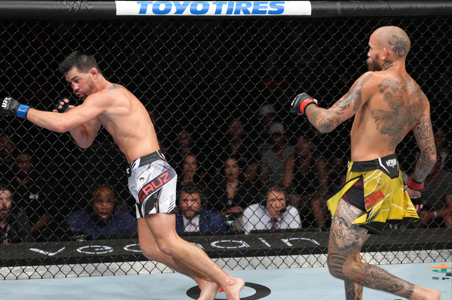 Dominick Cruz Vs Marlon Vera Background