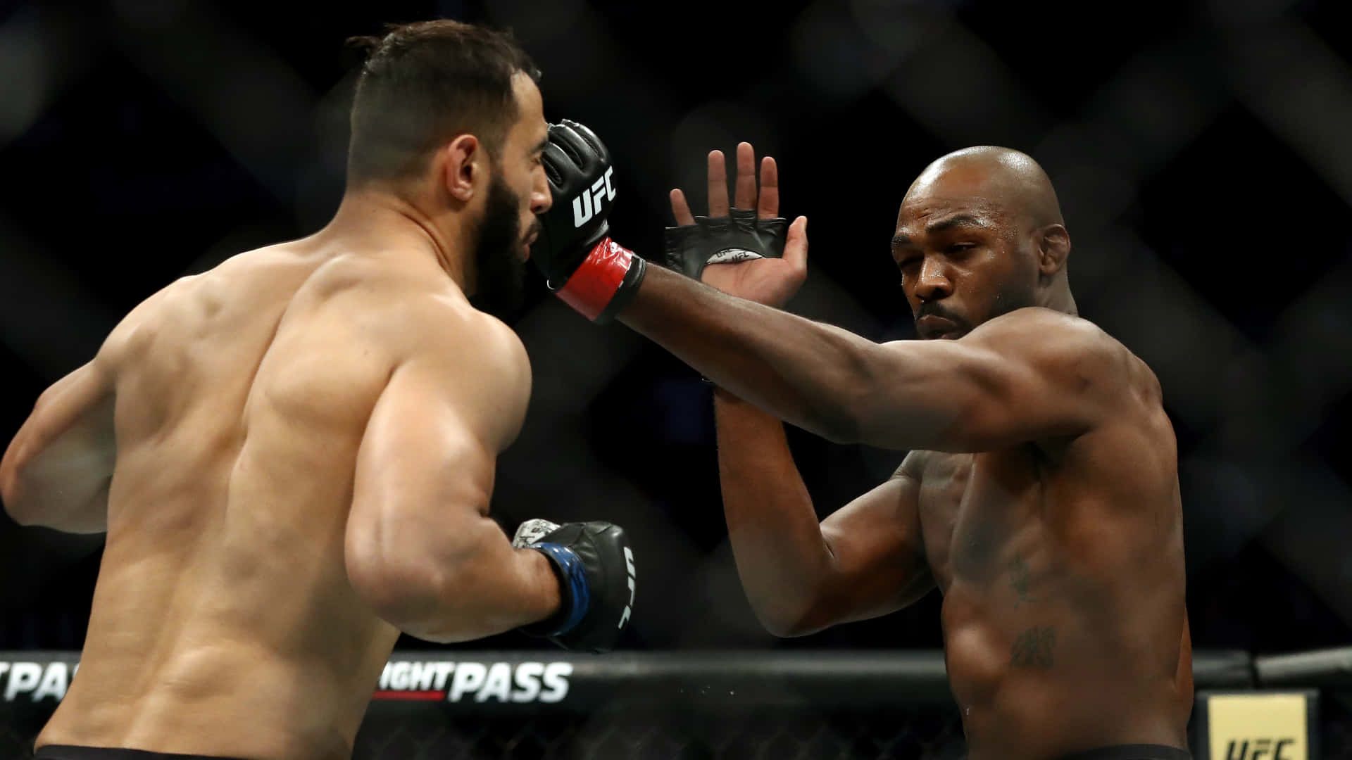 Dominick Reyes In The Octagon Background