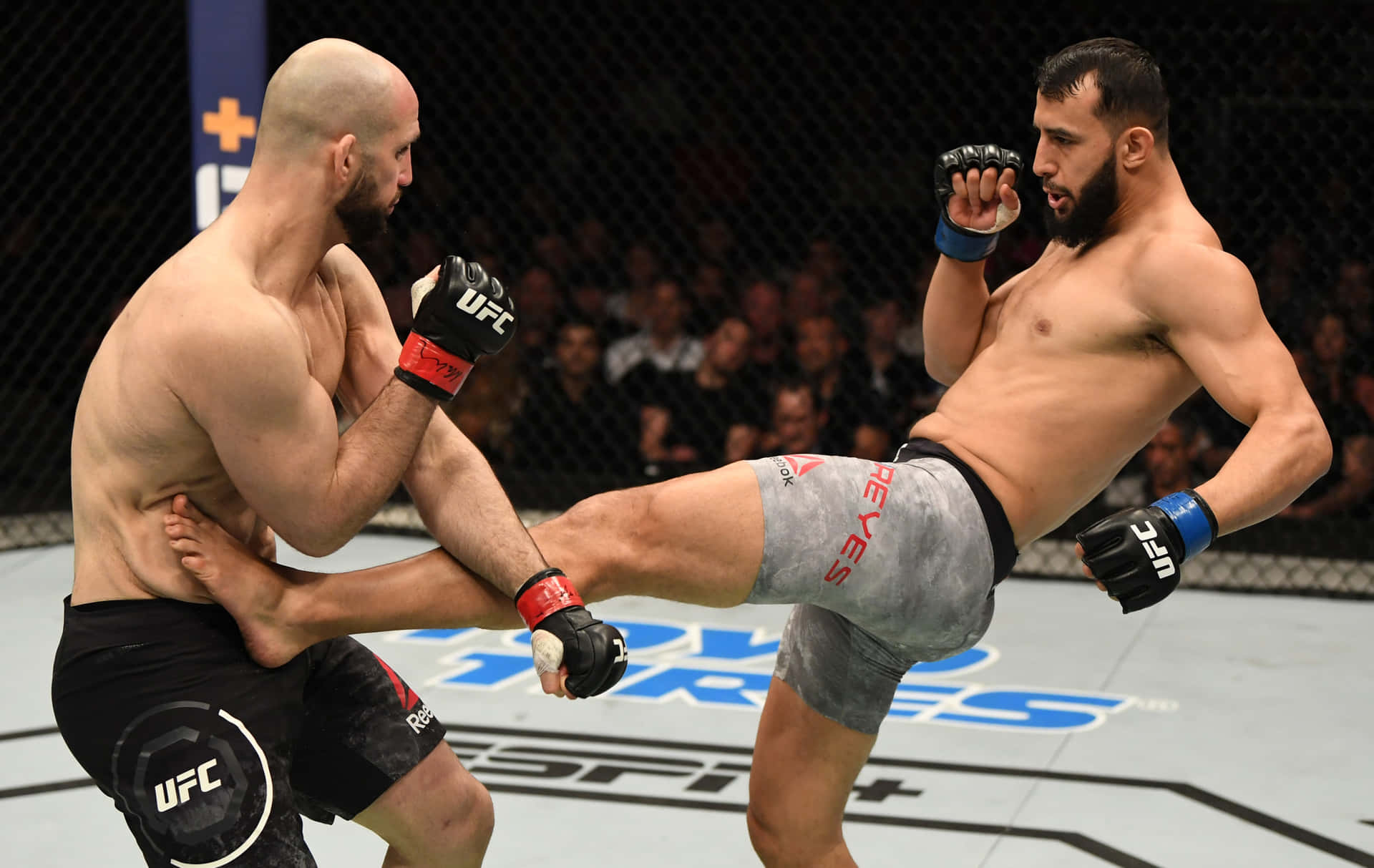 Dominick Reyes Kicking Volkan Oezdemir Background