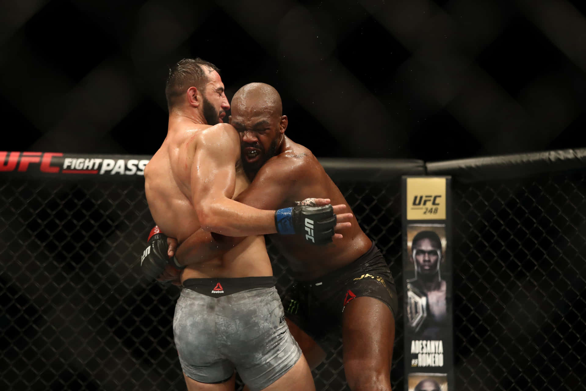Dominick Reyes, The Lightweight Powerhouse Of Ufc Background