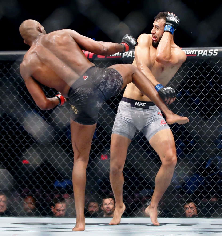 Dominick Reyes U F C High Kick Background