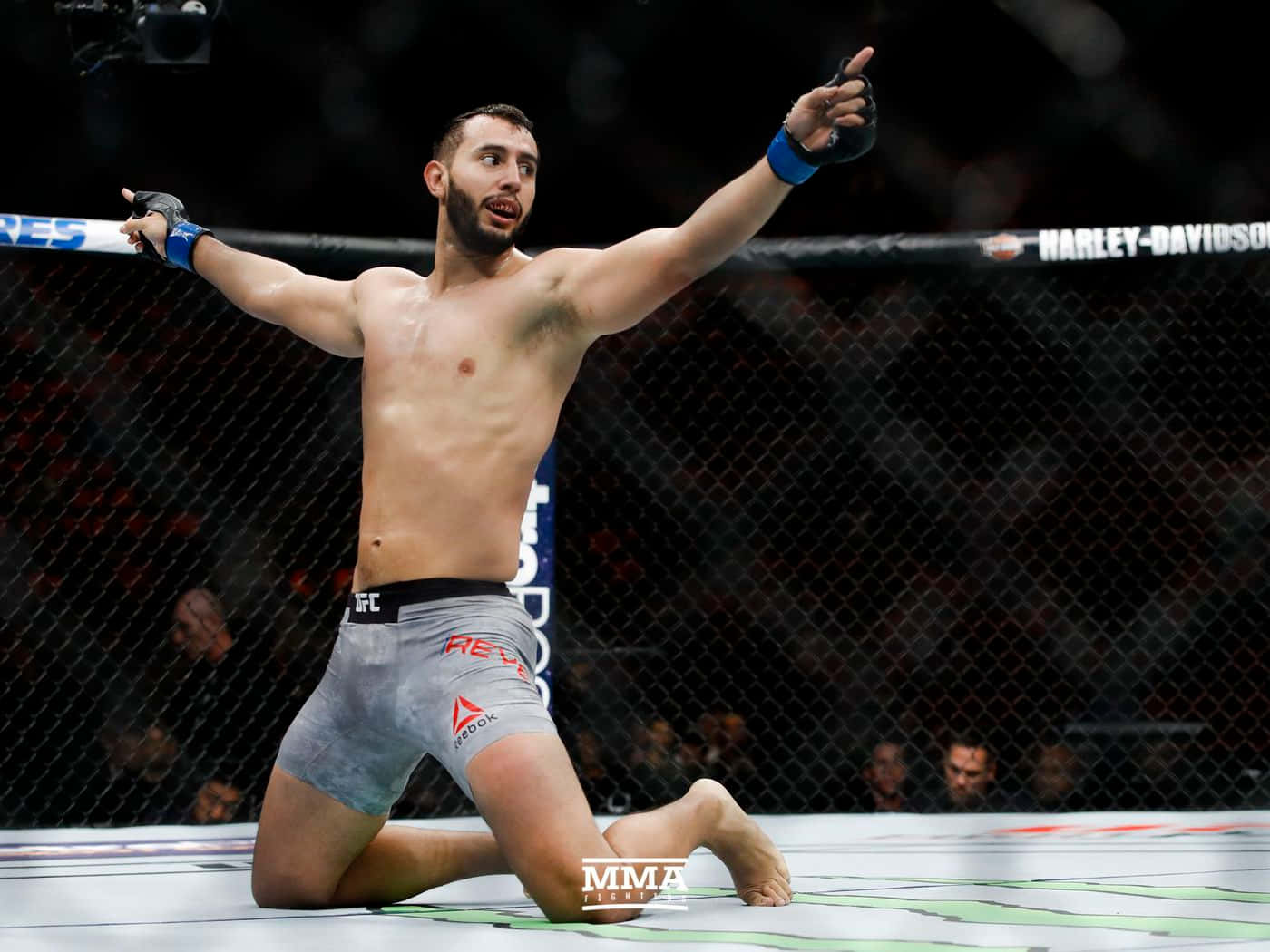 Dominick Reyes U F C Victory Pose Background