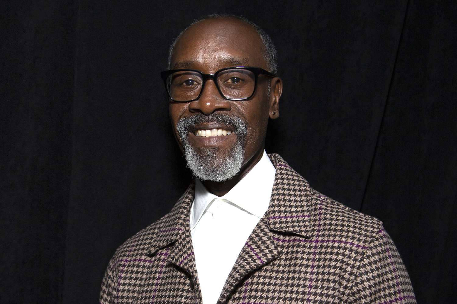 Don Cheadle Displaying His Mature Side With A Stylish Beard Background