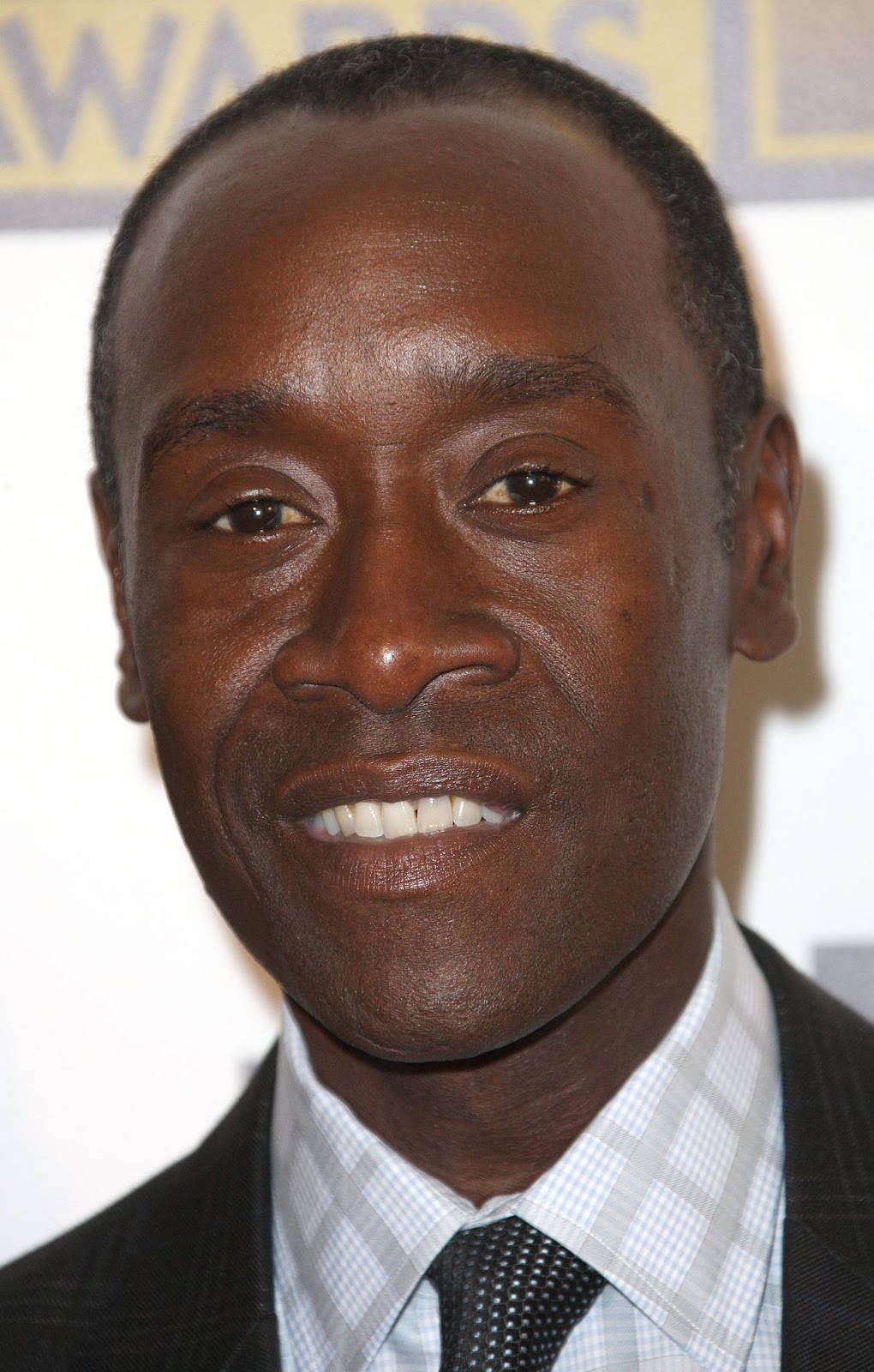 Don Cheadle In Closeup