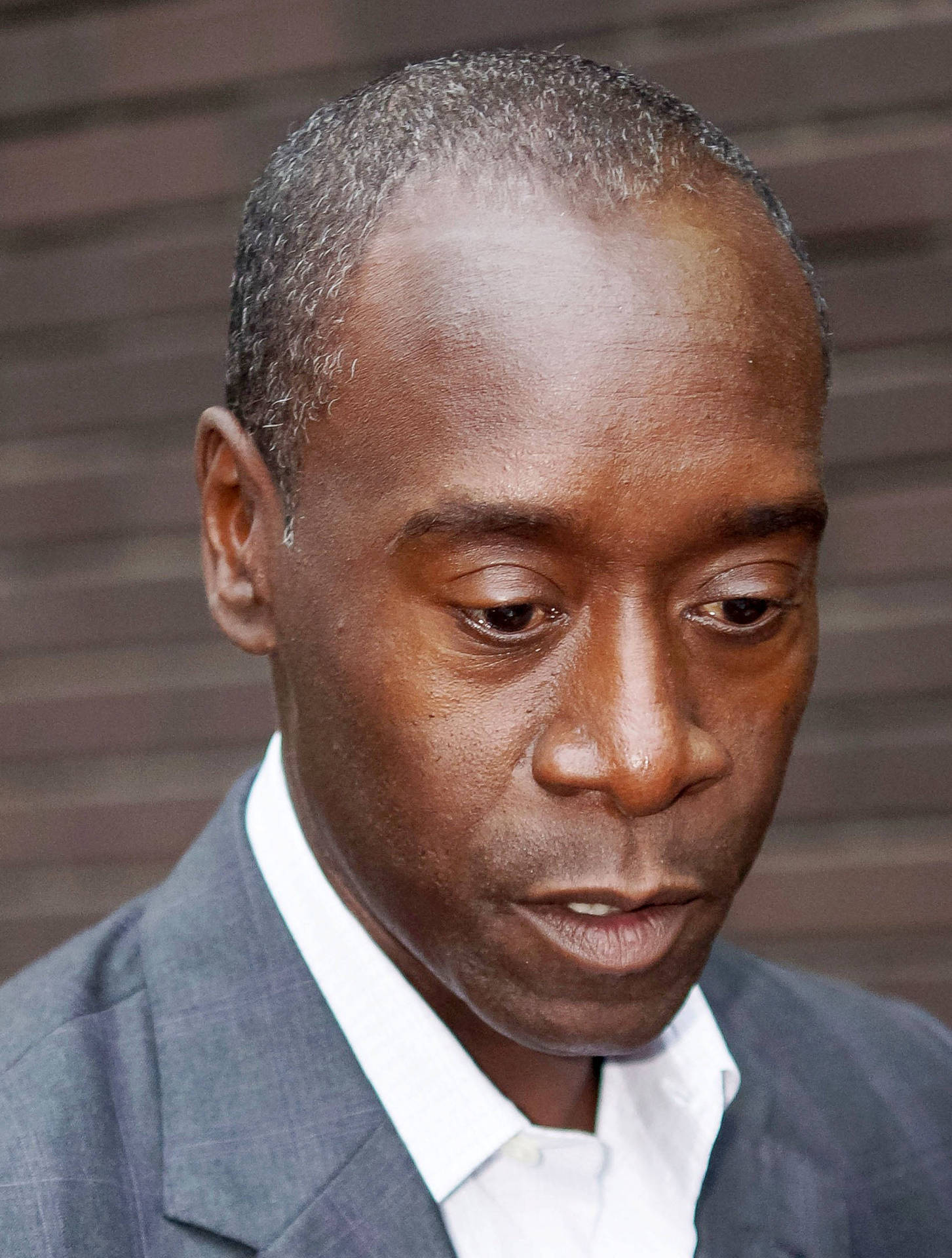 Don Cheadle Looks Down