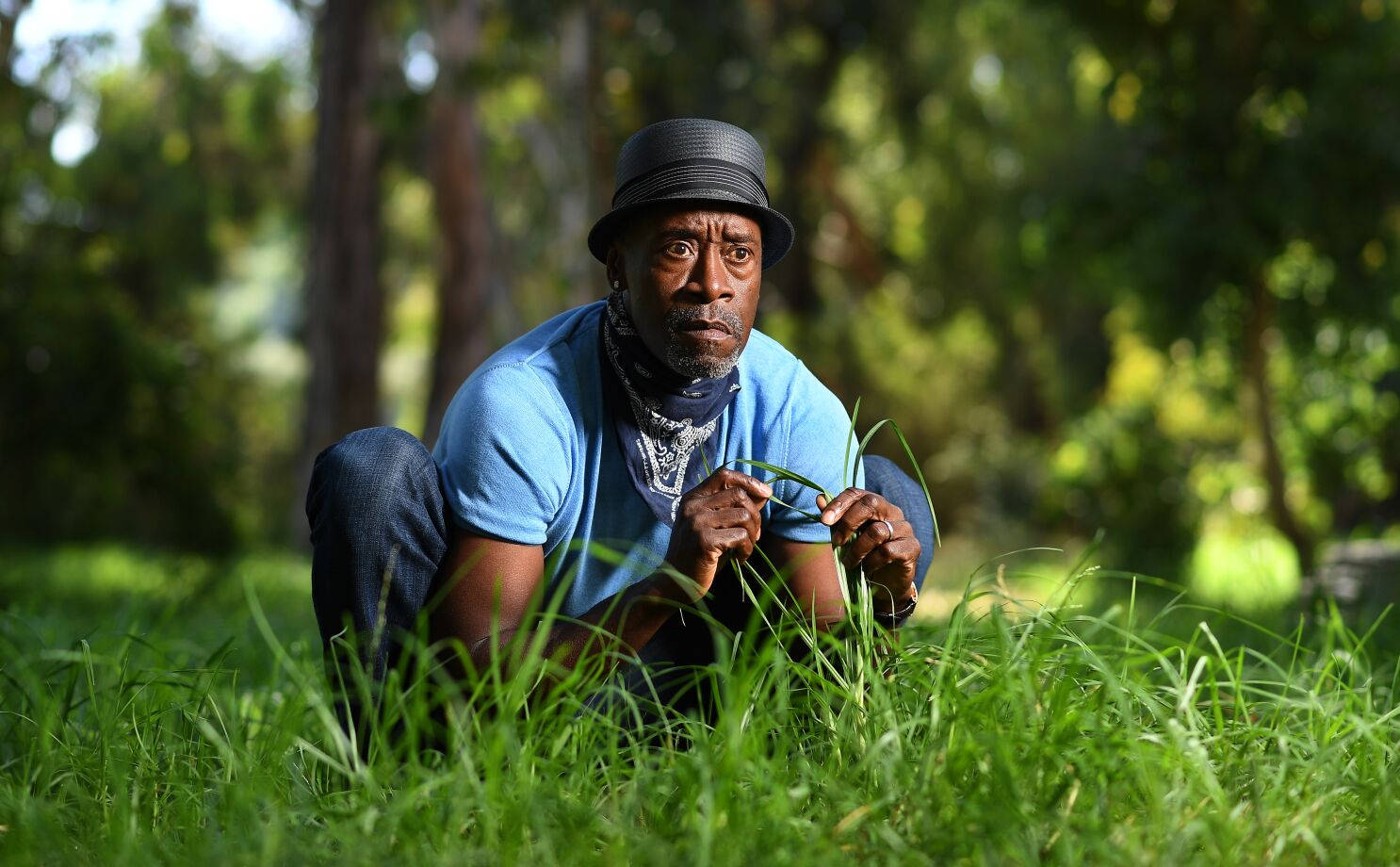 Don Cheadle On Grass Background