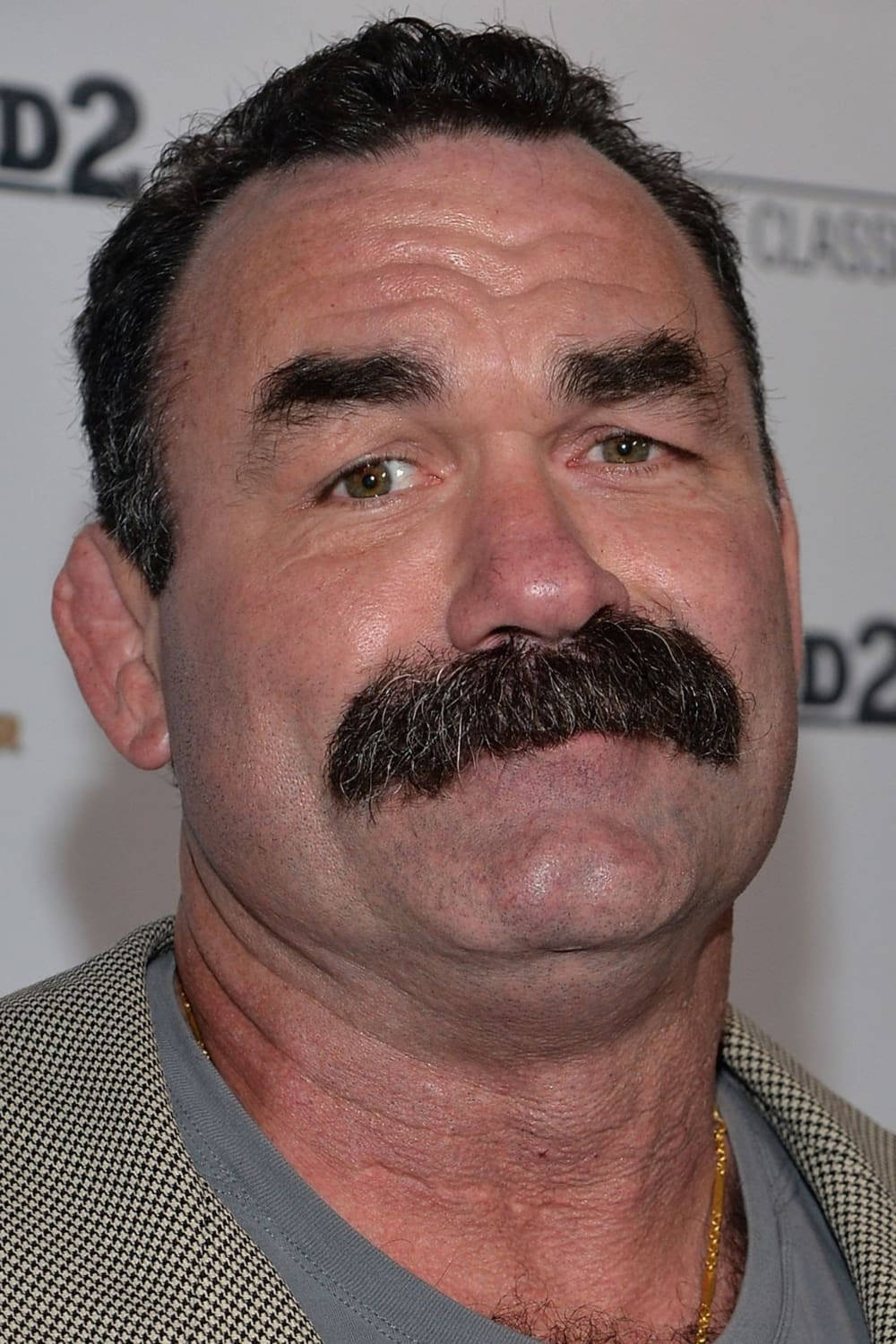 Don Frye Against White Background With Text Background