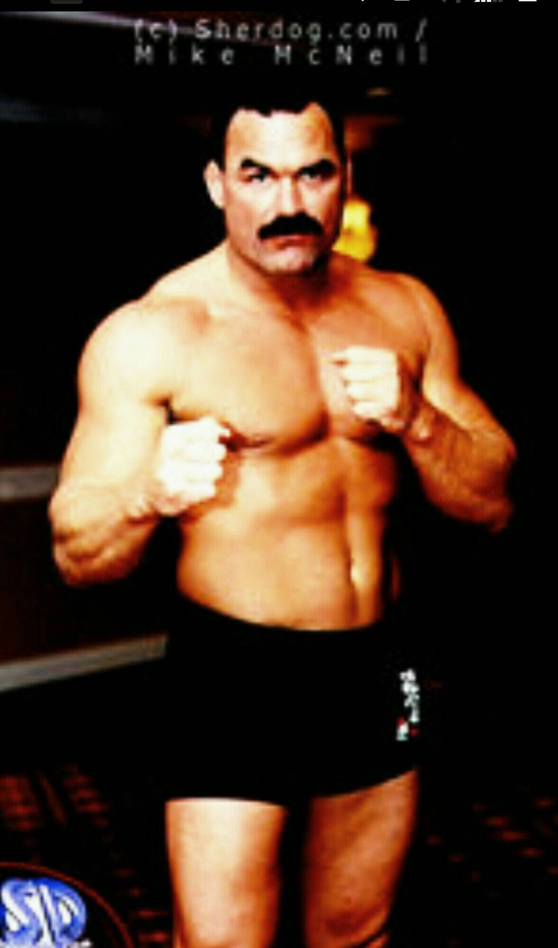 Don Frye Boxing Pose In Black Background Background