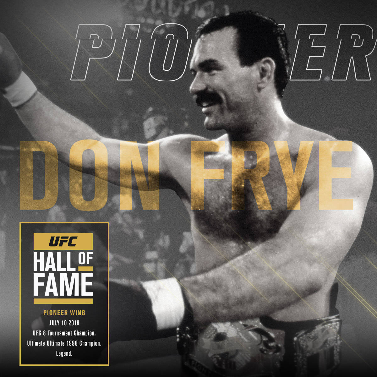 Don Frye Poster Background