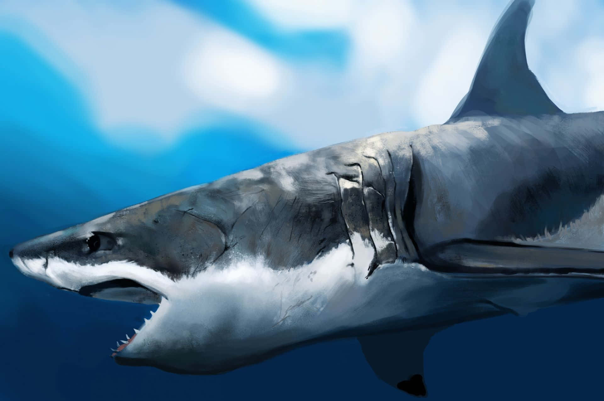 Don't Brave The Ocean Unless You're Ready To Meet Scary Shark! Background