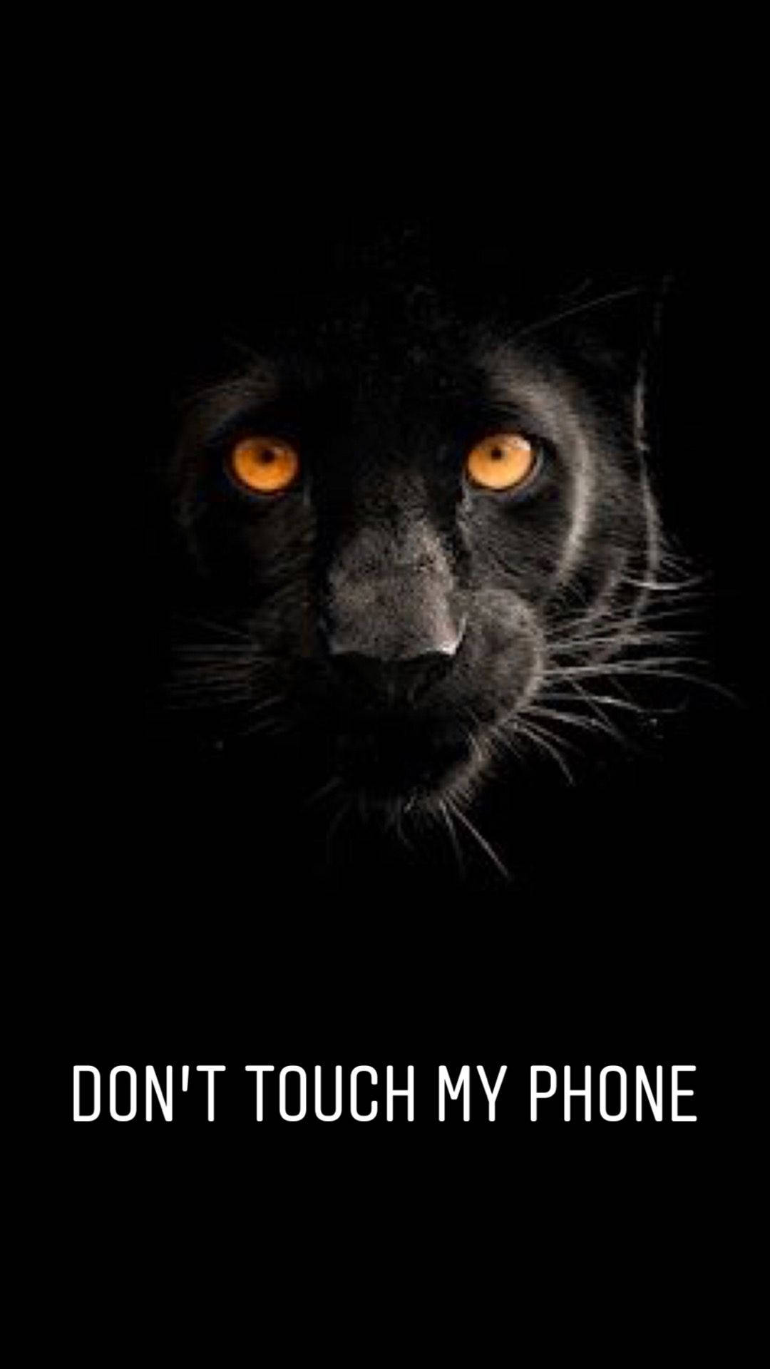 Don't Touch My Phone Black Panther Background
