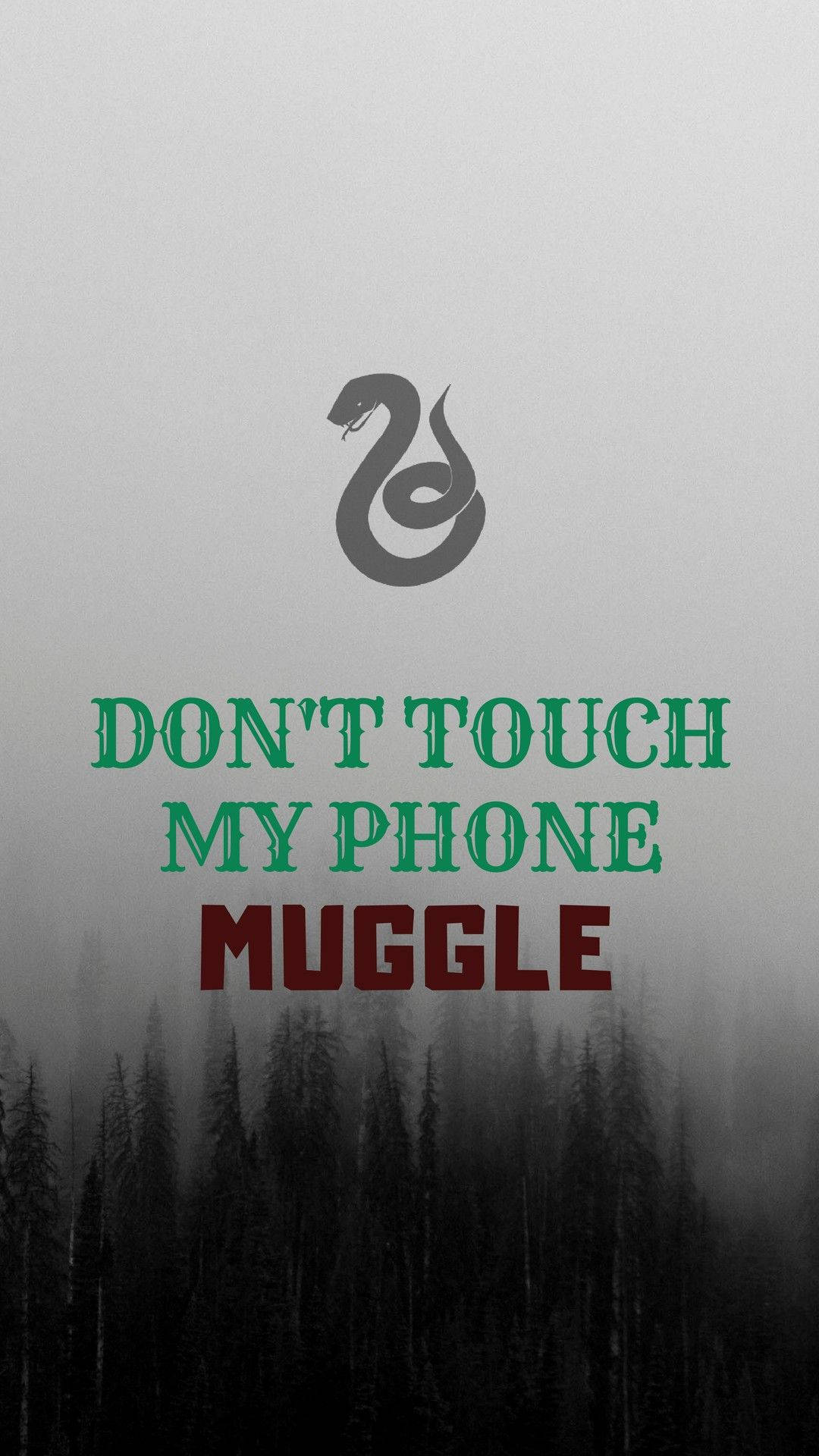 Don't Touch My Phone Slytherin Serpent Background