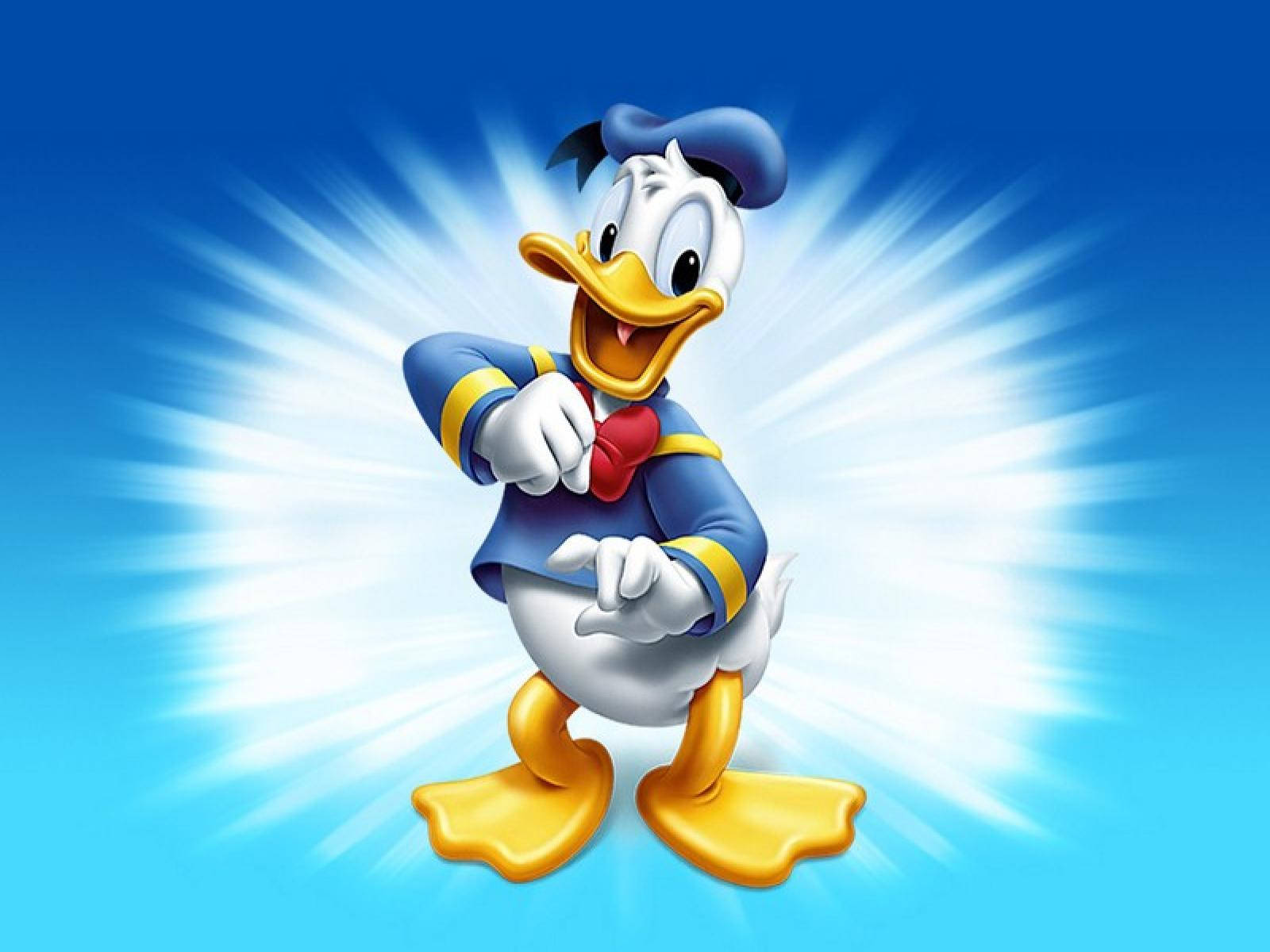 Donald Duck Funny Cartoon